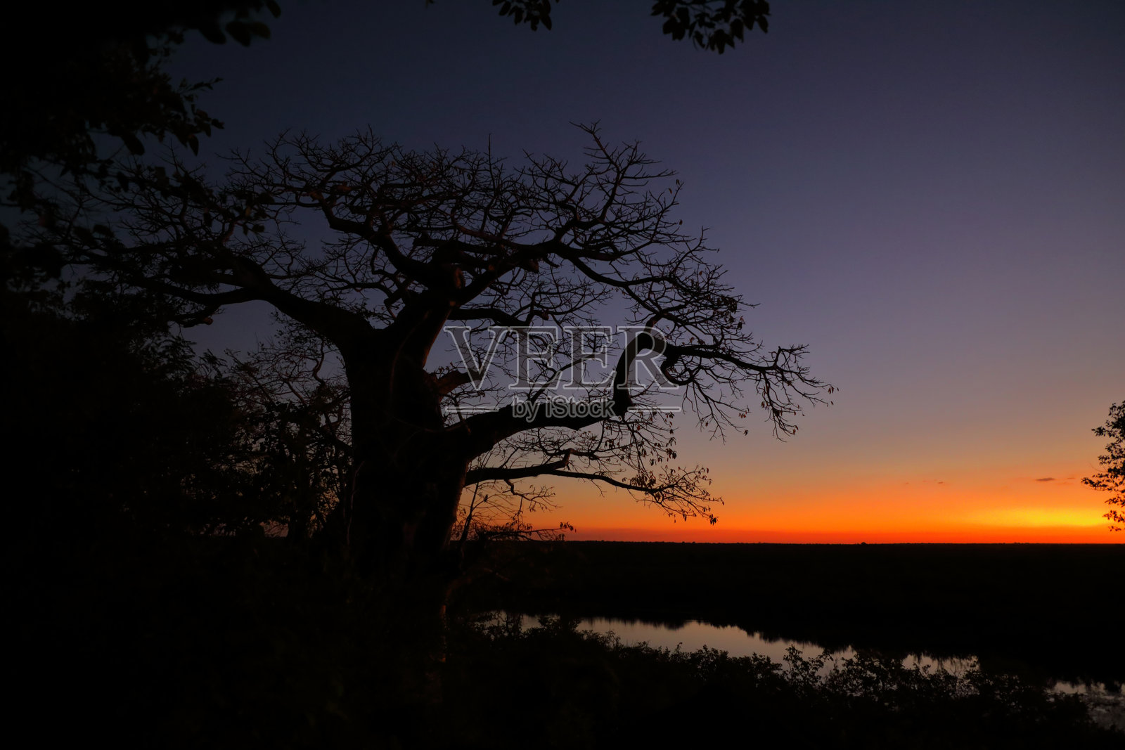 非洲灌木丛 - 克鲁格国家公园 - 先锋水坝照片摄影图片