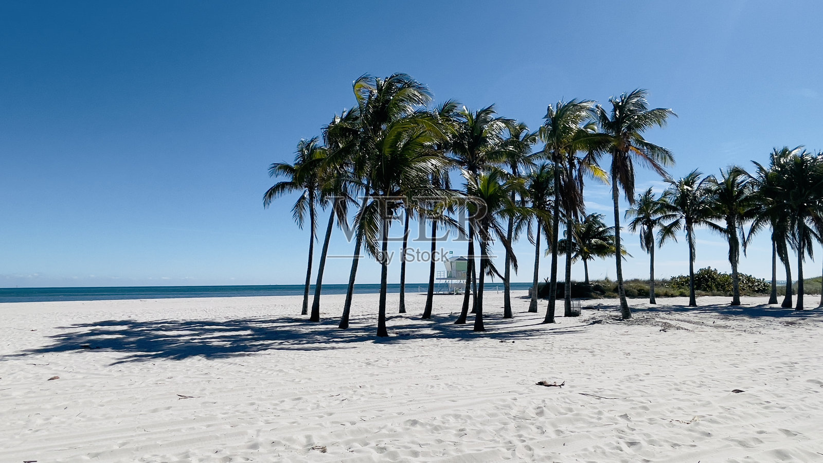 佛罗里达州基斯凯恩，迈阿密海滩，海滩救护队，2025年1月照片摄影图片