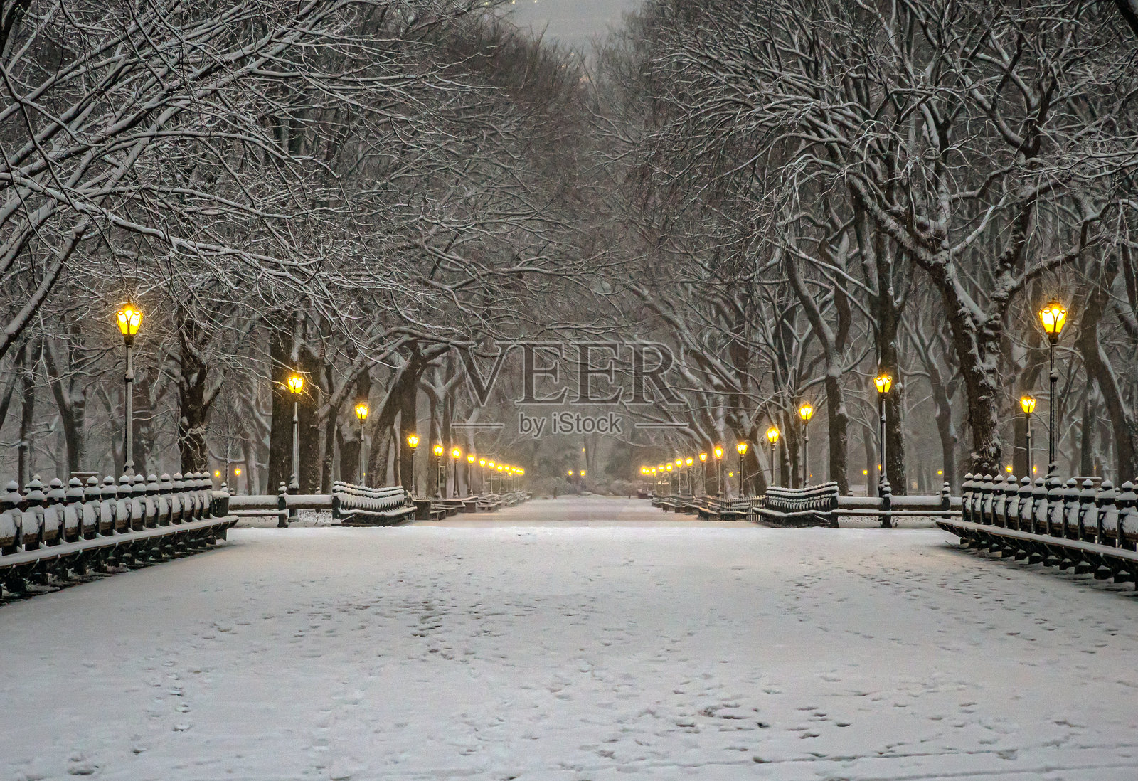 中央公园大街，雪暴中照片摄影图片