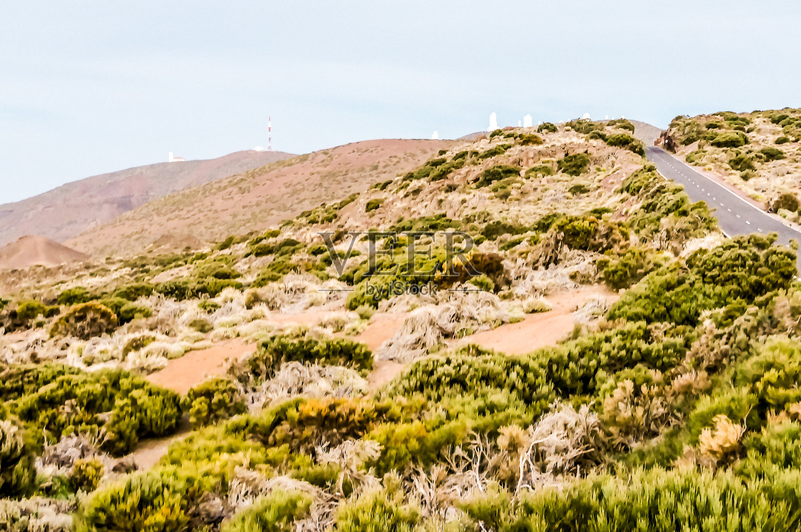 一座覆盖着绿色灌木和树木的山坡照片摄影图片