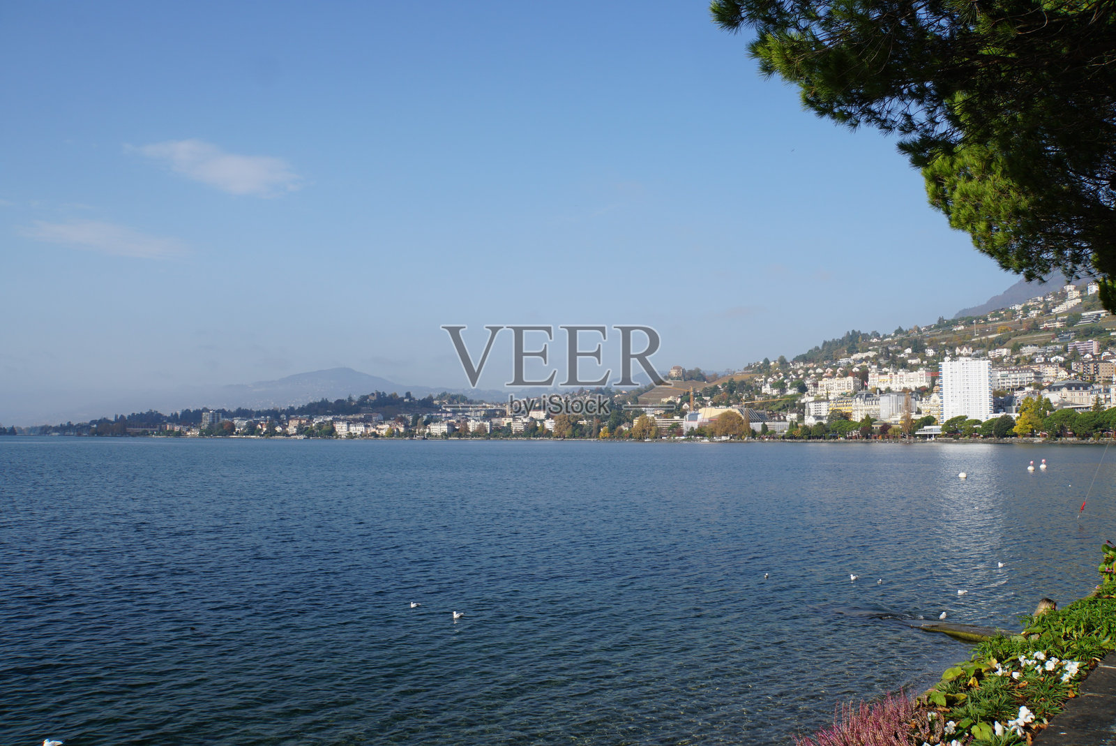 莱蒙湖和蒙特勒的风景照片摄影图片