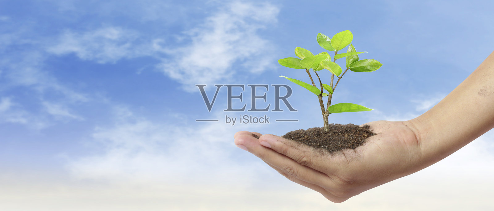 手工种植树木以实现可持续发展照片摄影图片