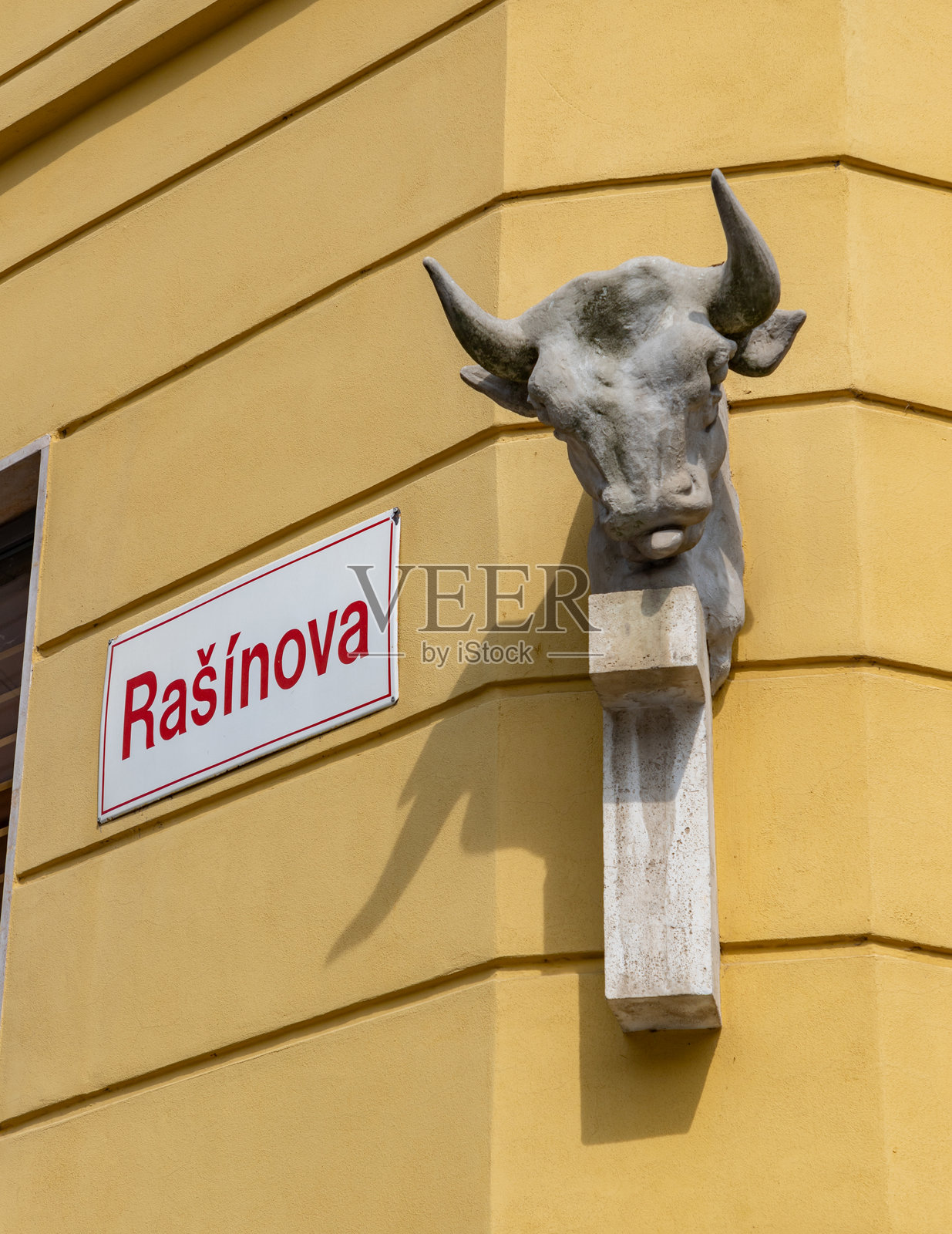 拉西诺瓦街的公牛雕塑照片摄影图片