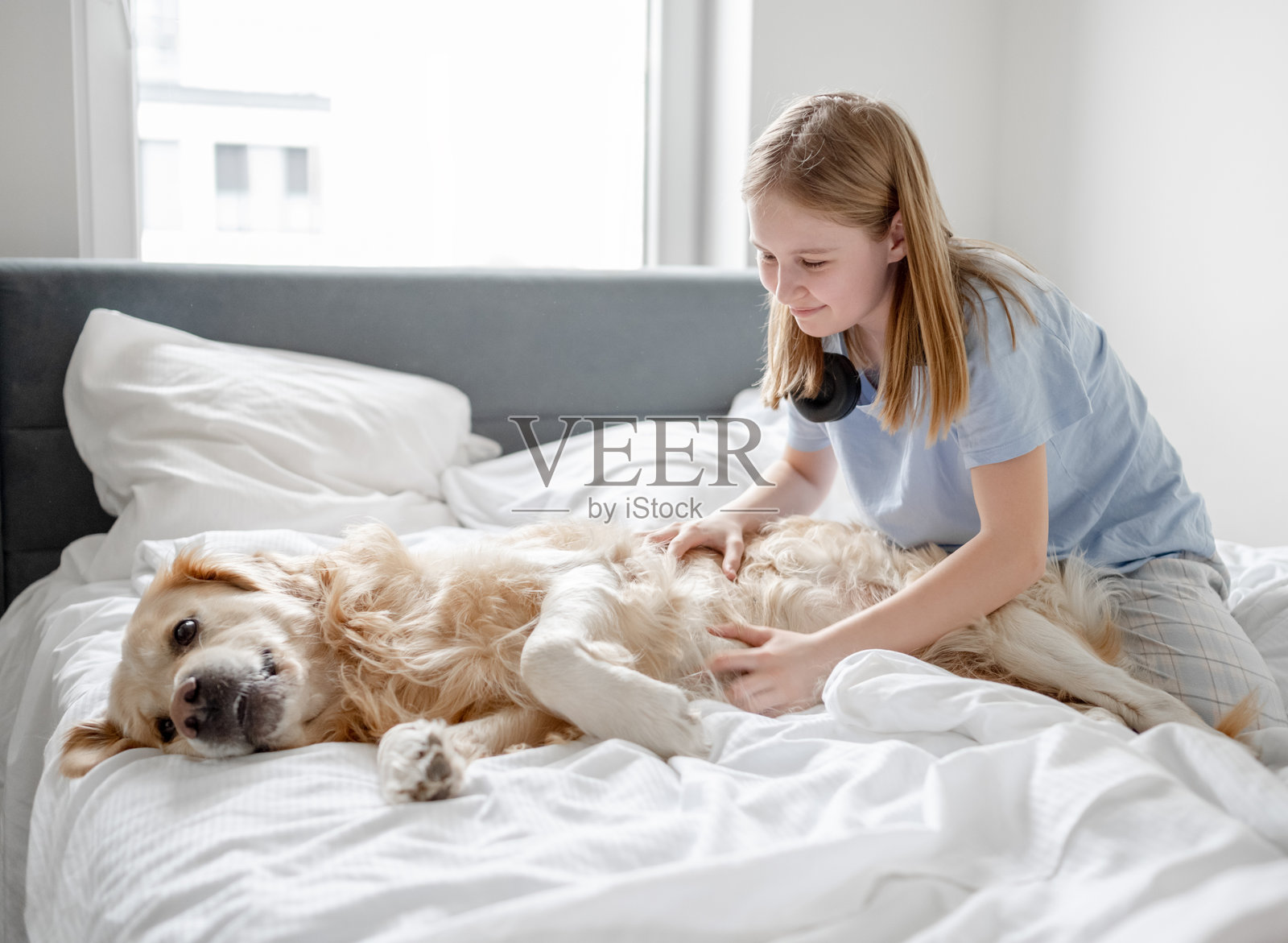 女孩在床上与金毛猎犬玩耍照片摄影图片