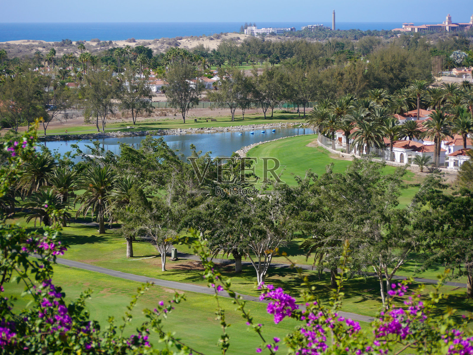 马斯帕洛马斯,格兰卡纳里亚,加那利群岛,西班牙的高尔夫球场全景,背景是海洋。全年在温暖国家度假的概念。照片摄影图片