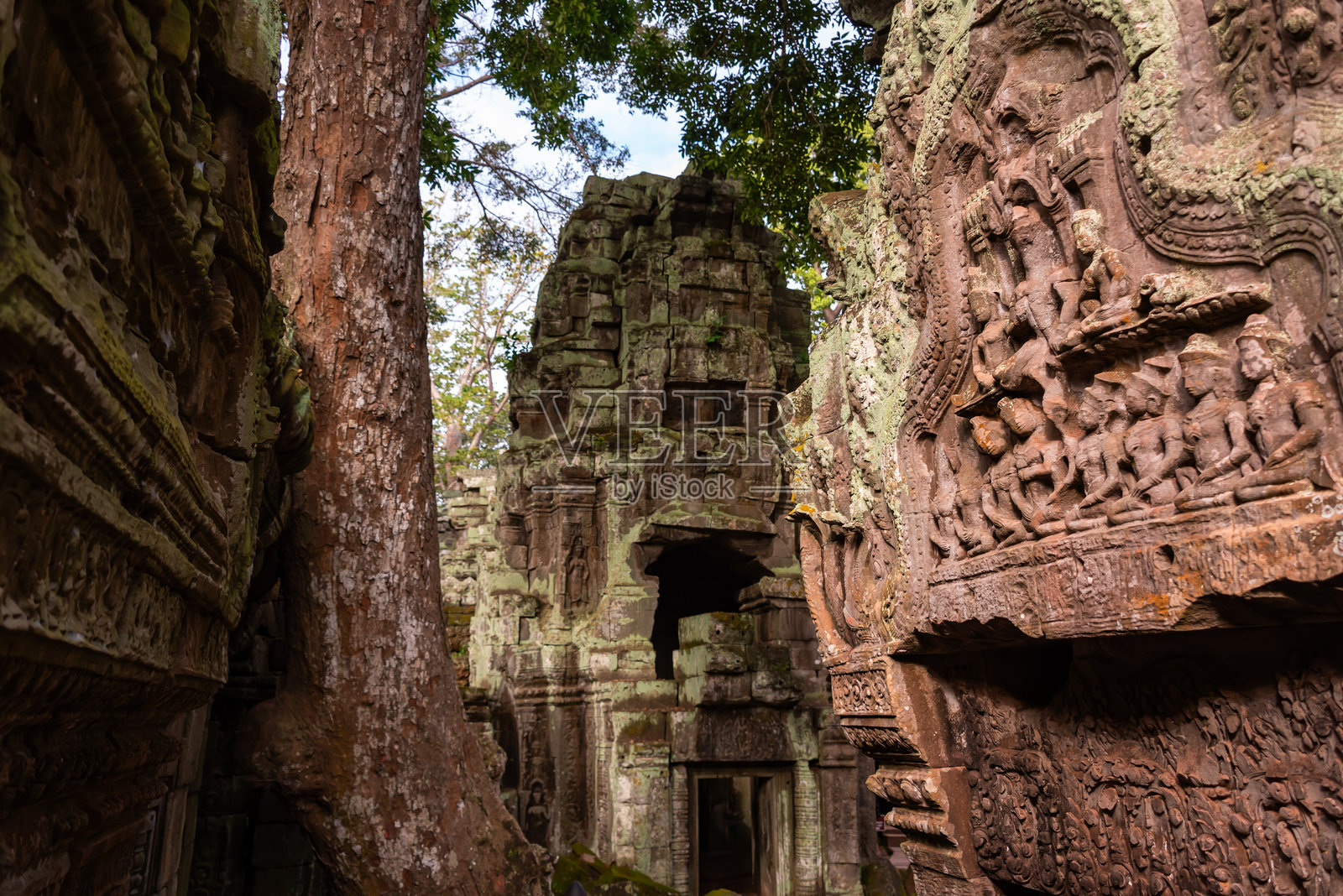 吴哥通，柬埔寨丛林中的古老寺庙遗址，树根交错。照片摄影图片