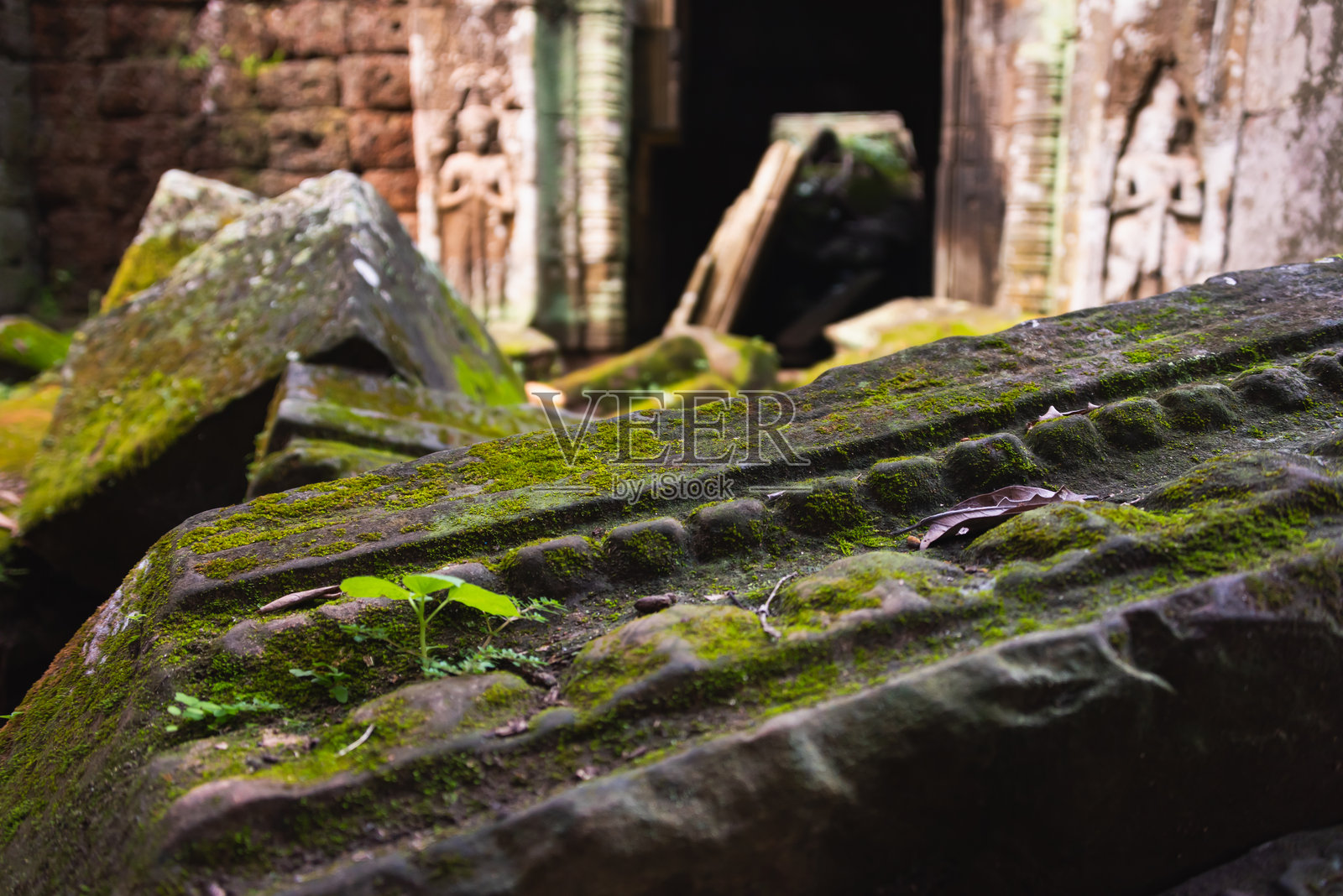 吴哥通，柬埔寨丛林中的古老寺庙遗址照片摄影图片