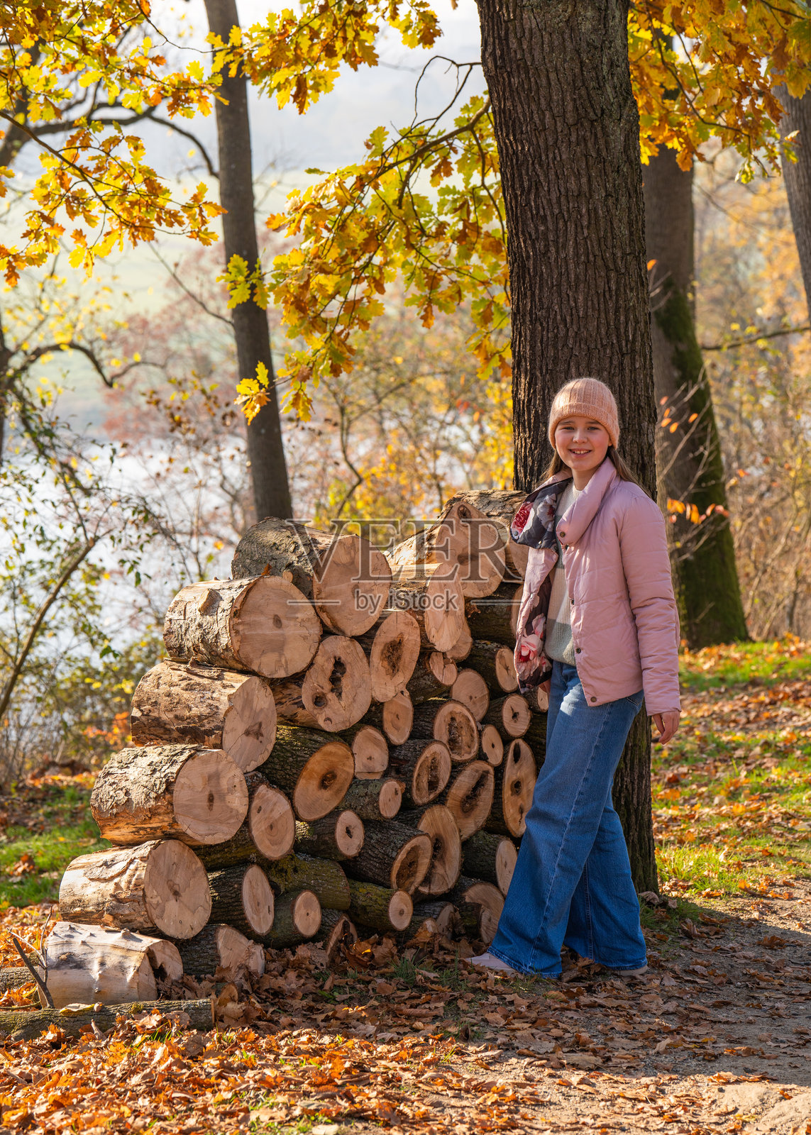 可爱的小女孩在秋天的公园里散步。她在一堆木头附近走动，周围是黄色的树叶，柔和的光线营造出温暖而富有氛围的画面。户外散步。照片摄影图片