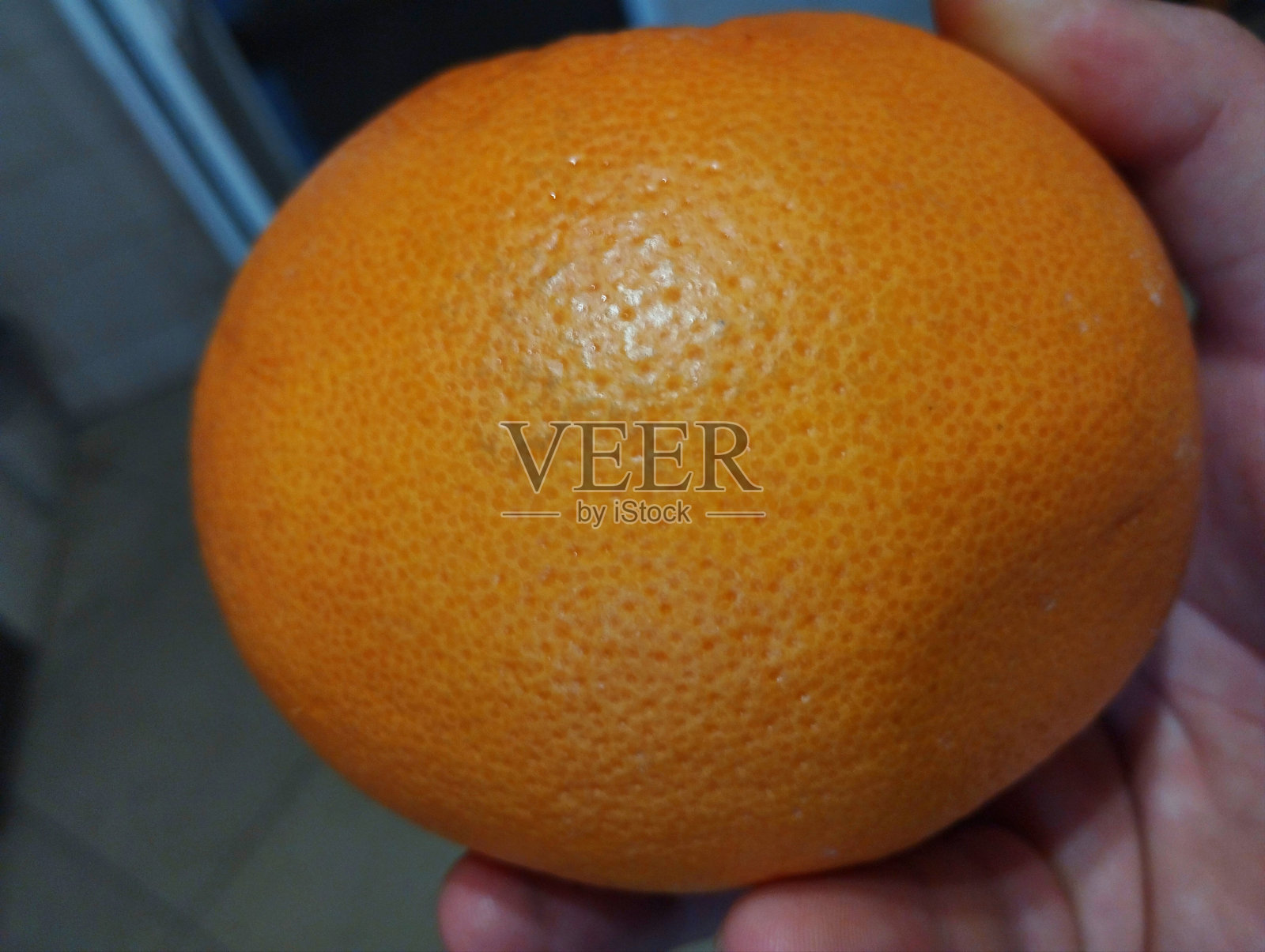 人手中拿着美味健康的橙色圆形橙子。实用的柑橘类水果。照片摄影图片
