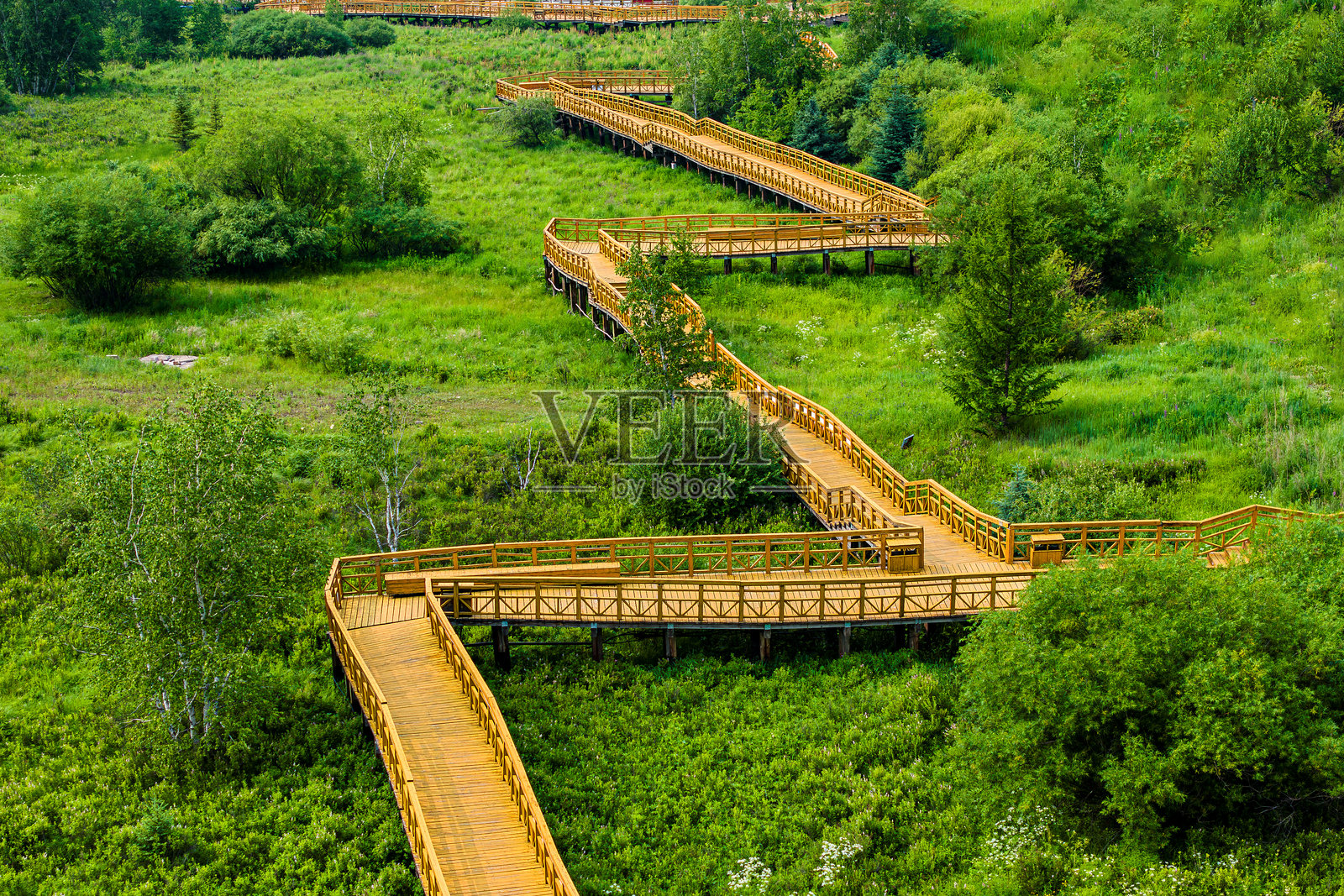 中国内蒙古兴安盟阿尔山国家森林公园照片摄影图片