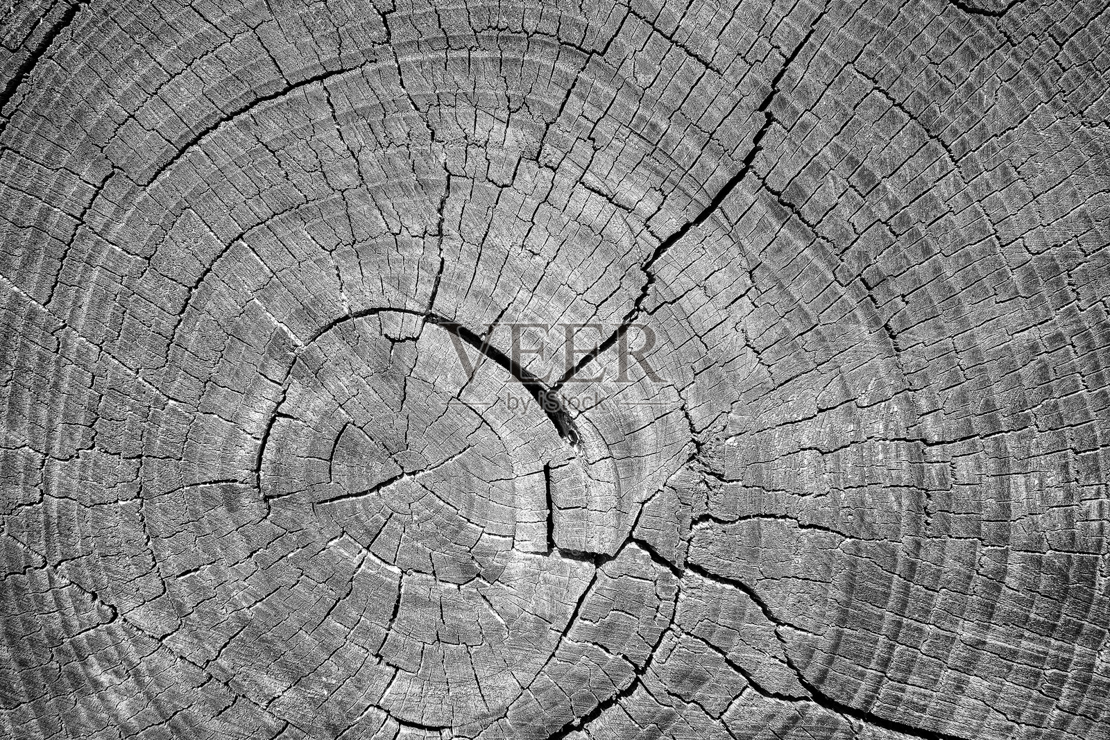 高细节木纹背景照片摄影图片