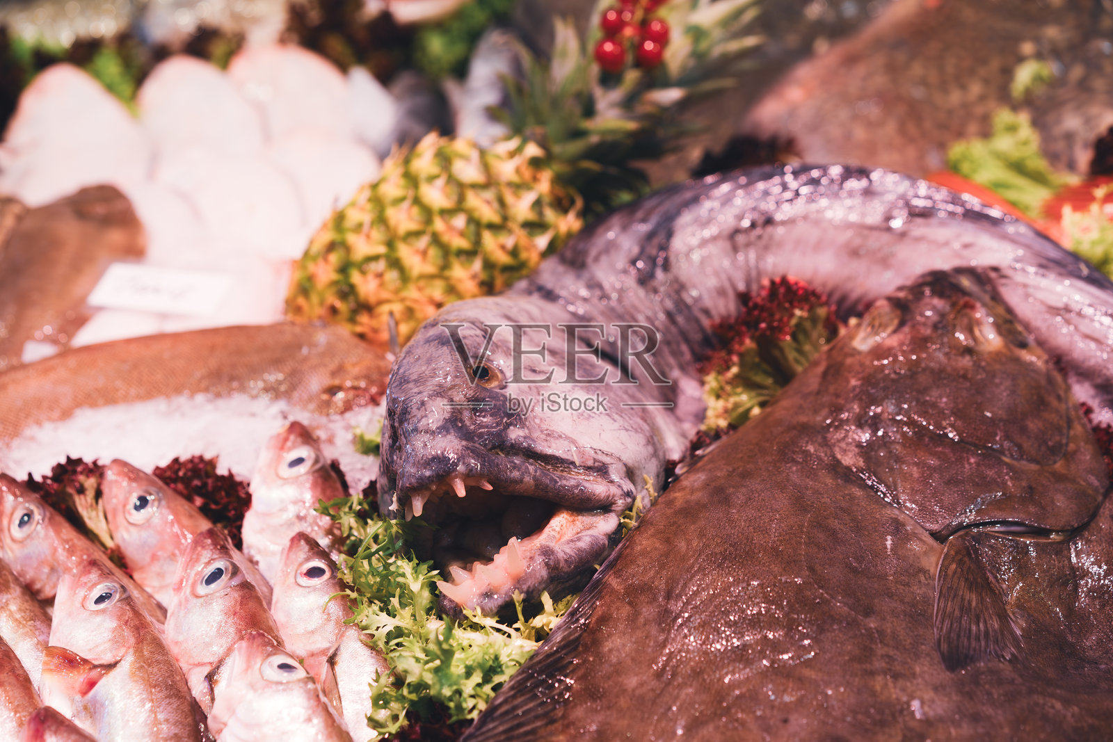 新鲜鱼市展示的特写，展现了各种异国鱼类照片摄影图片