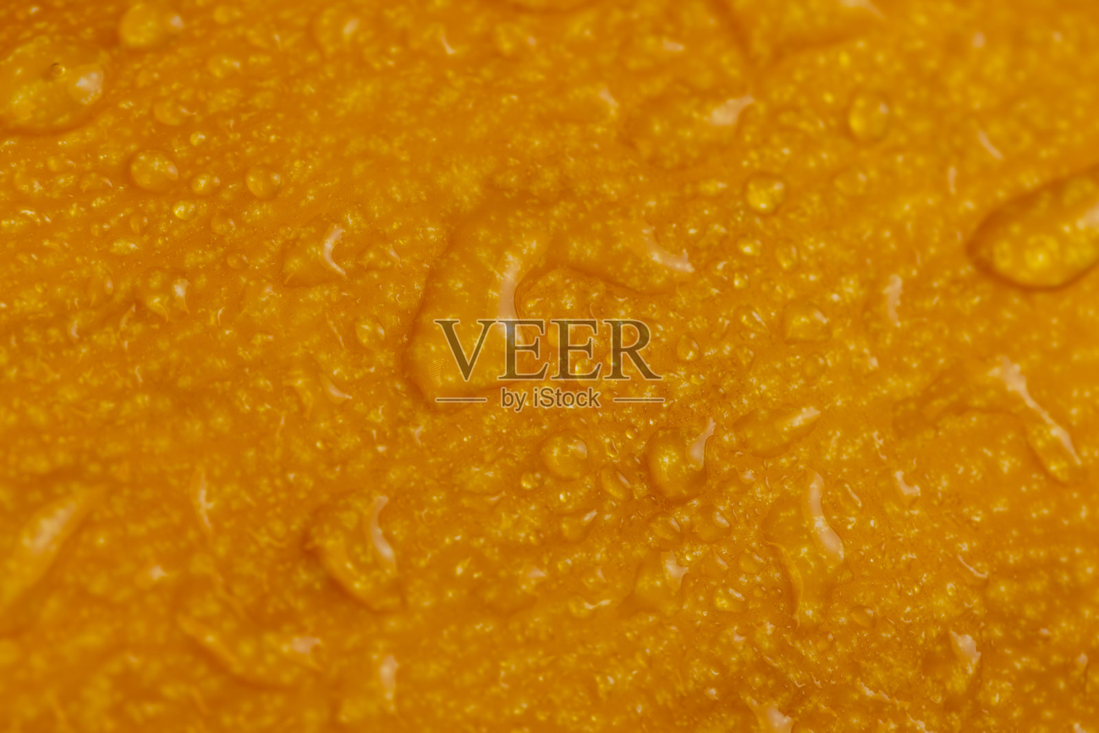 成熟南瓜坚硬的橙色外皮照片摄影图片