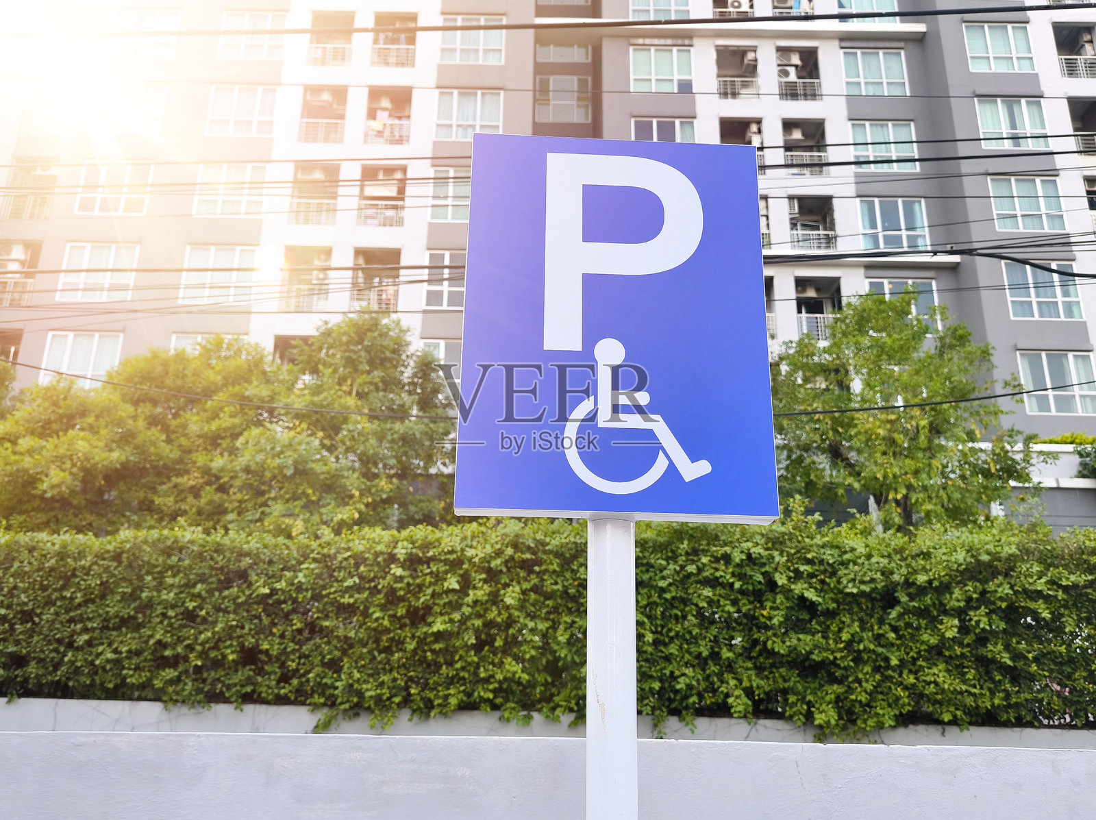 残疾人停车标志。停车场的残疾人标志照片摄影图片