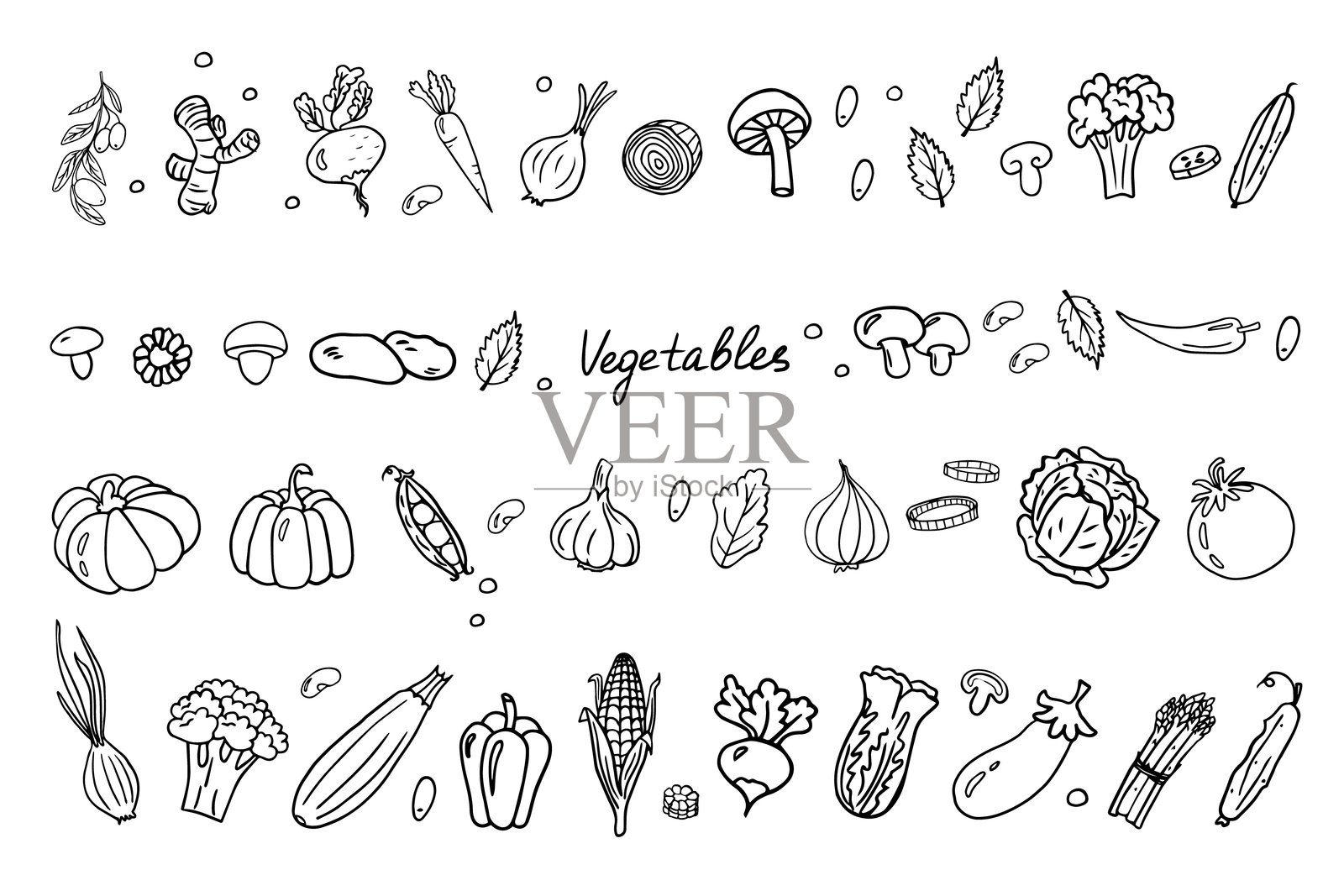 涂鸦风格的蔬菜组合。蘑菇、胡萝卜、南瓜、辣椒、黄瓜、西红柿和其他健康食品。插画图片素材