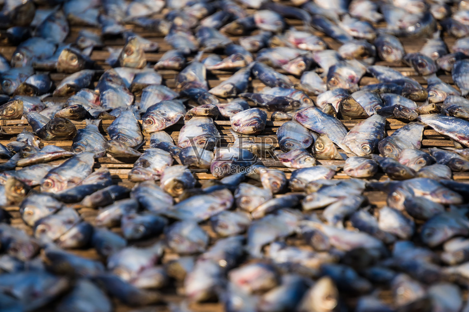 一张干咸鱼的特写。它们呈灰色和银色，看起来坚硬且经过腌制。照片摄影图片