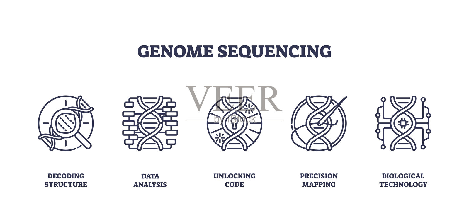 基因组测序图标描绘了解码、数据分析和精确映射。插画图片素材