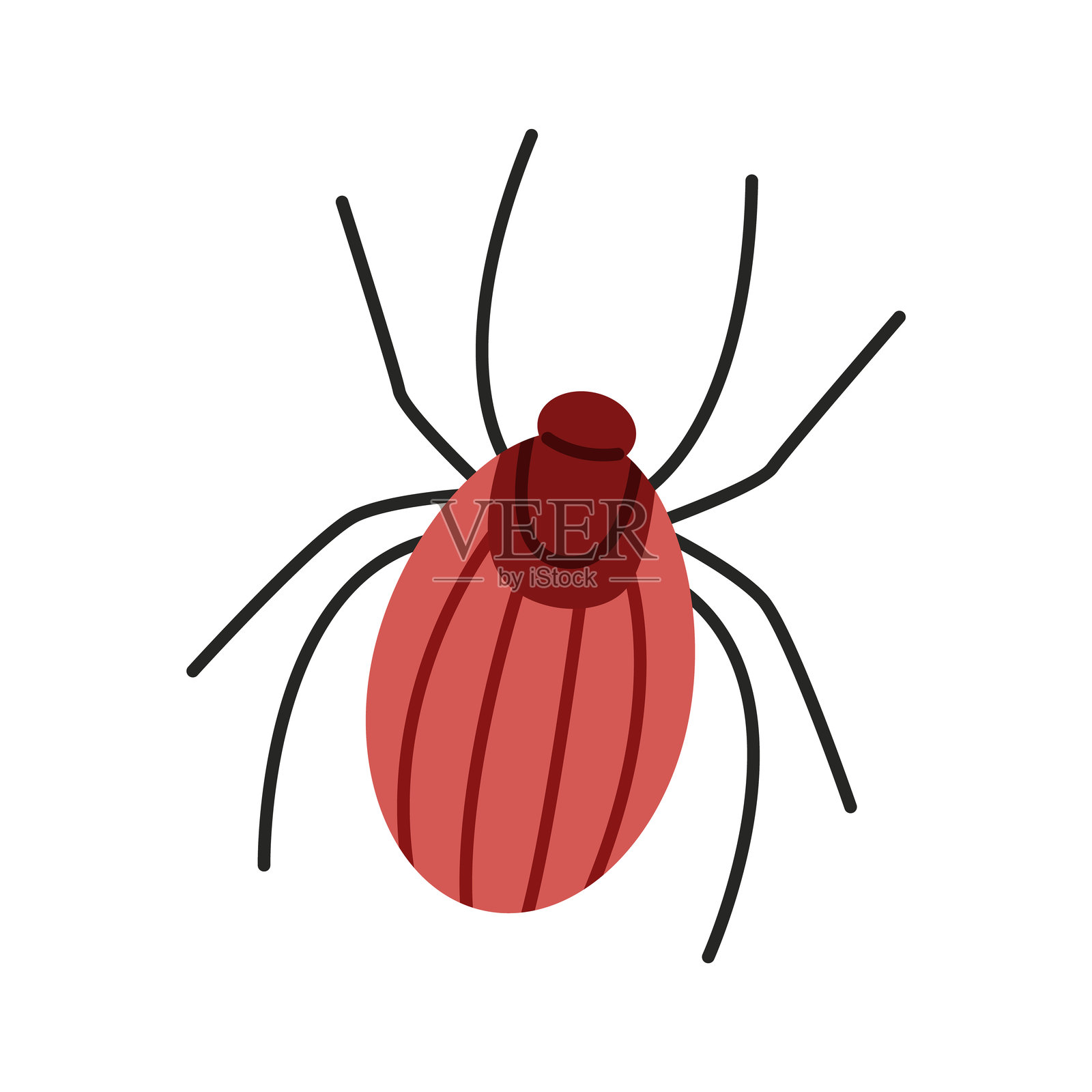 蜱虫图标插画图片素材