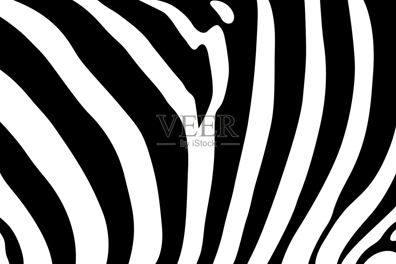 斑马皮肤图案特写插画图片素材