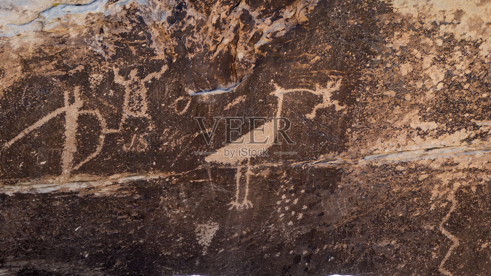 化石森林国家公园的古代岩刻照片摄影图片