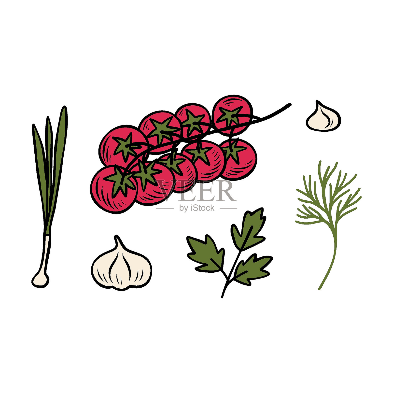 手绘的番茄、洋葱、香菜和莳萝的枝条。适用于食谱、菜单、包装、贴纸和广告的矢量插图。矢量线条绘图。插画图片素材