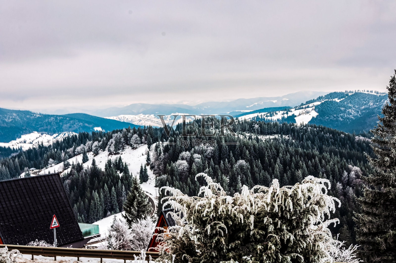 风景 - 森林 - 欧洲，罗马尼亚，苏恰瓦地区照片摄影图片