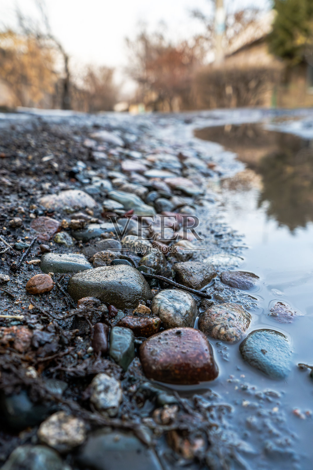 乡村冬季积水道路照片摄影图片