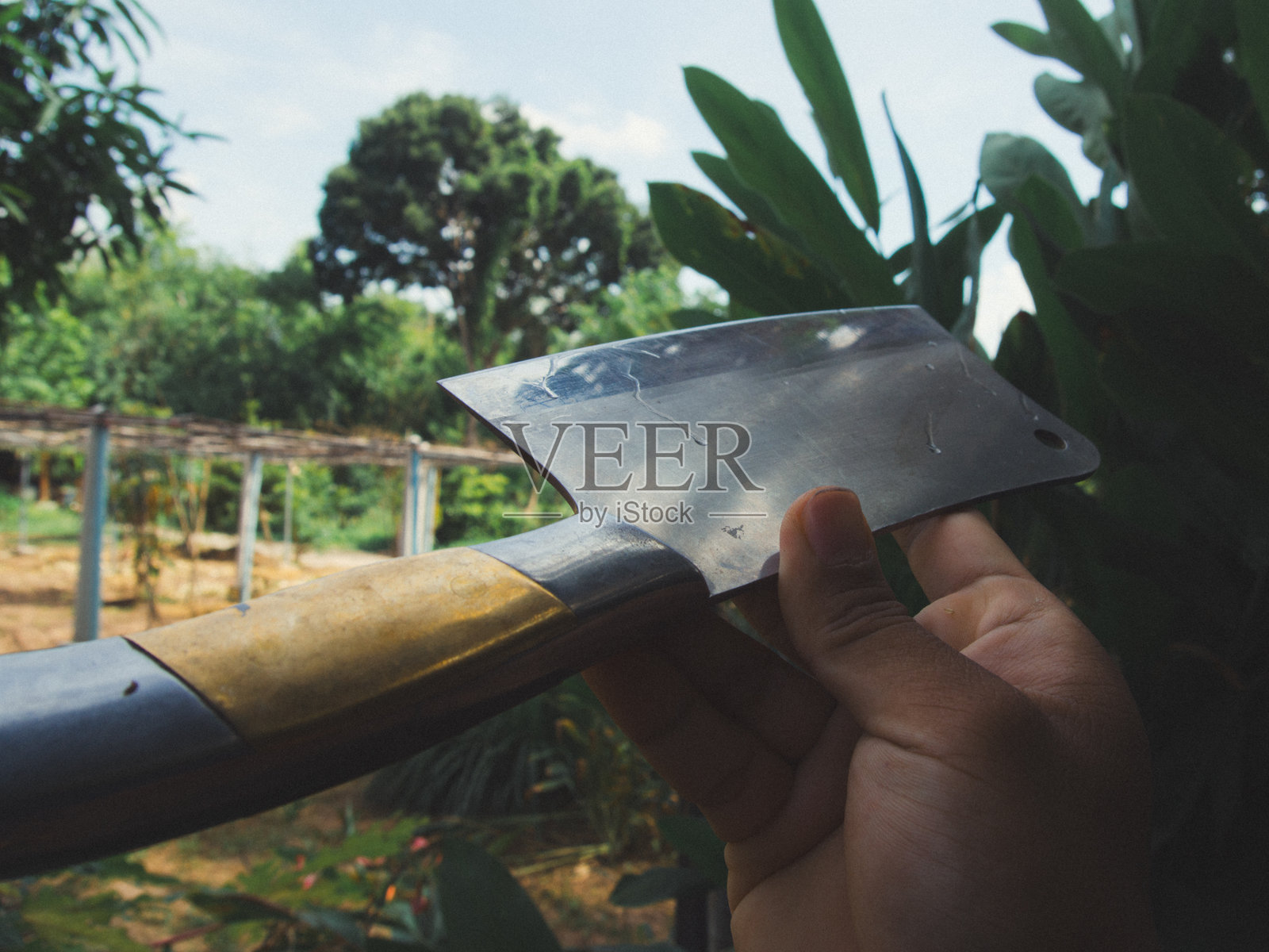 菜刀照片摄影图片