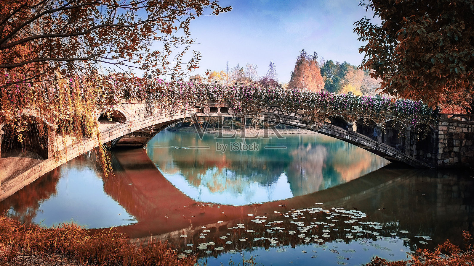 中国的一座公园，拥有美丽的细节和奇妙的自然景观照片摄影图片