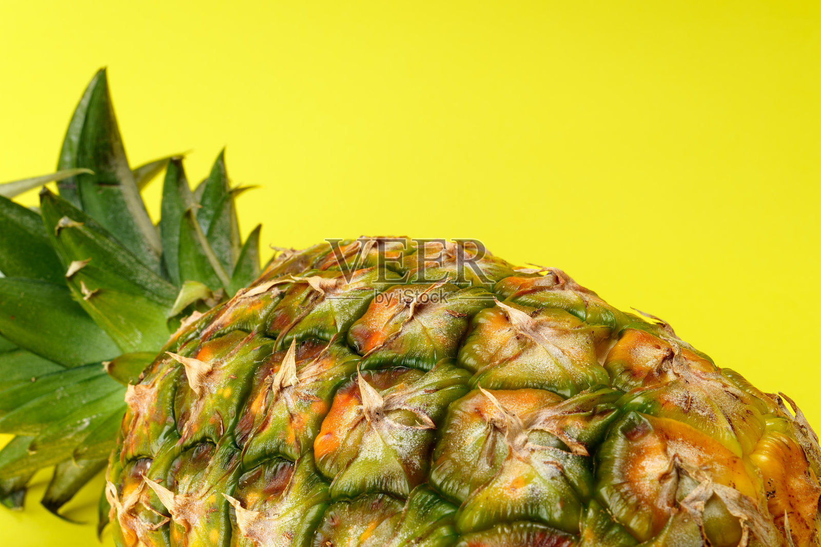 新鲜菠萝在彩色背景上照片摄影图片