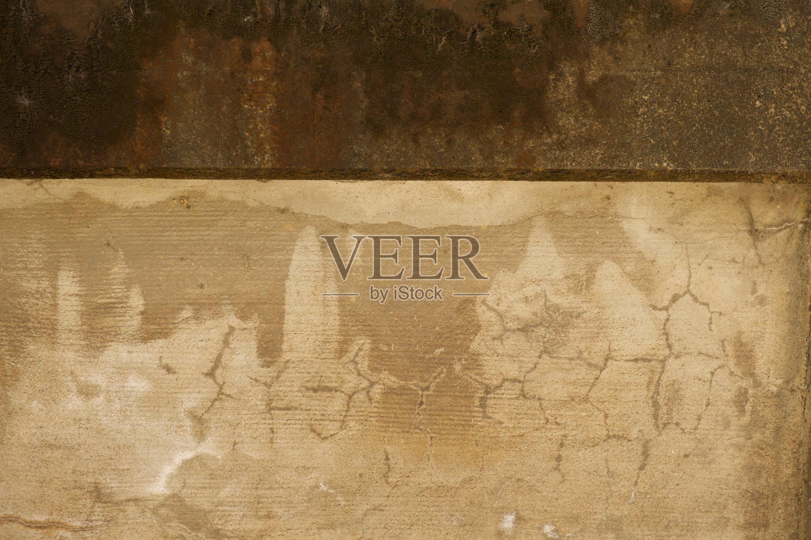 背景照片摄影图片