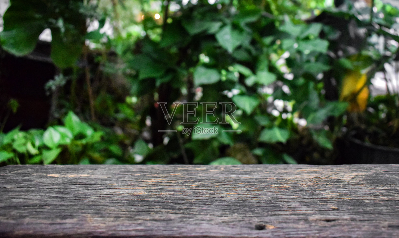 柔焦效果使观众能够以个人的方式解读场景。照片摄影图片