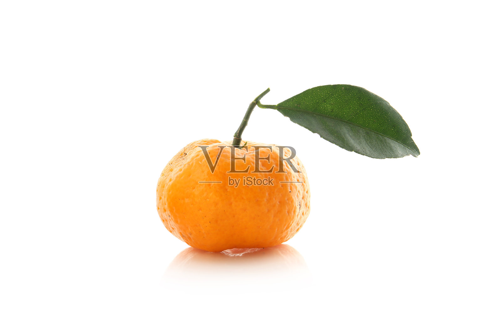 新鲜橙色的橘子在白色背景上照片摄影图片