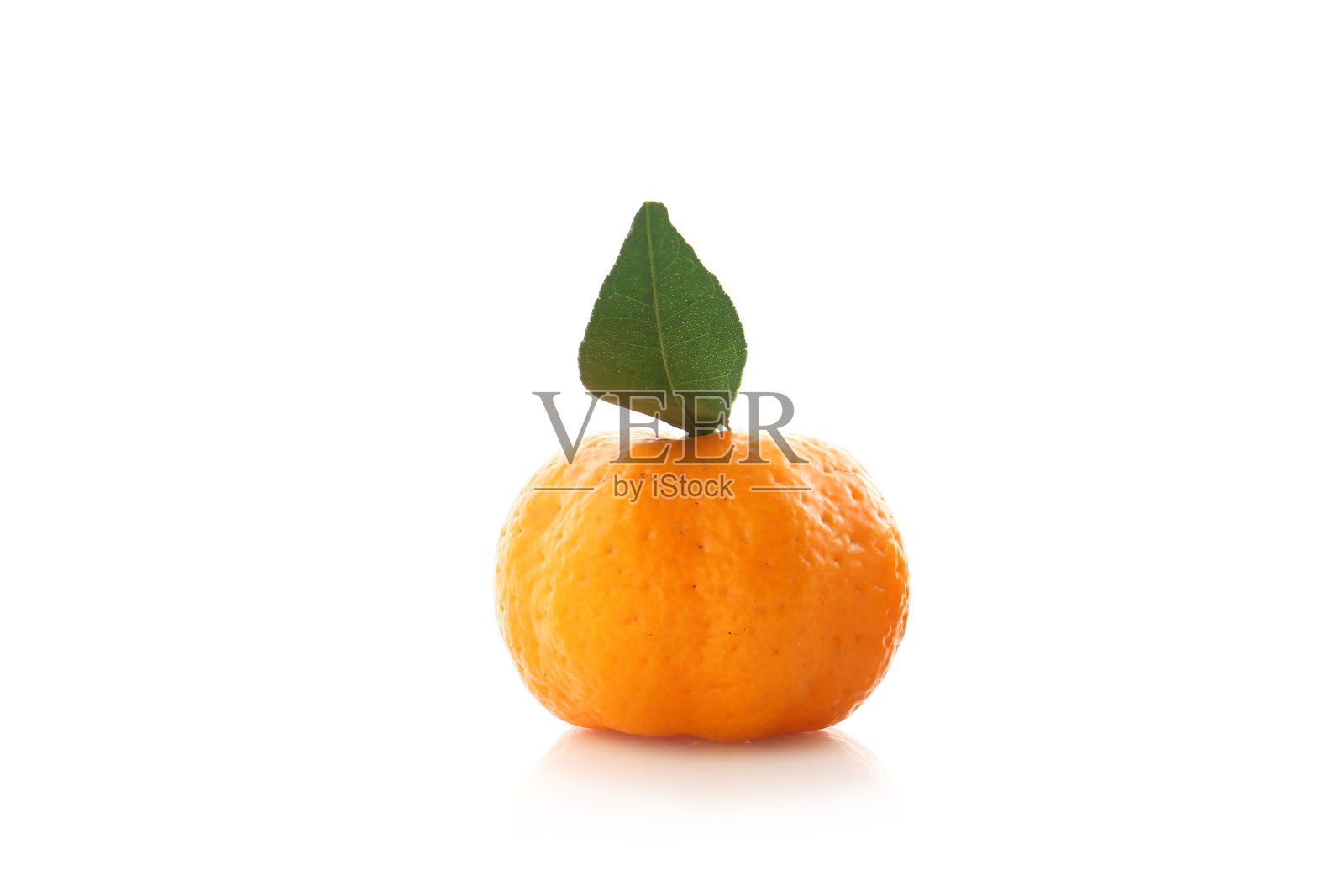 新鲜的橙色橘子在白色背景上照片摄影图片
