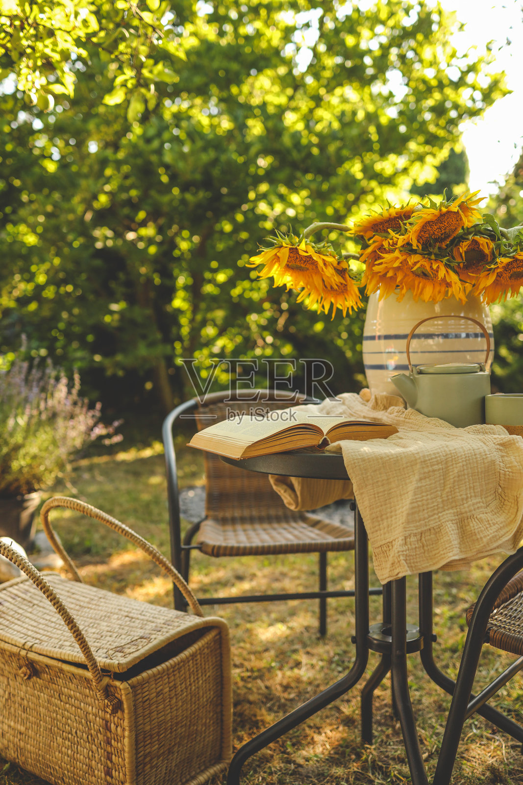 夏日清晨的花园。书籍、向日葵和茶，心情愉悦。照片摄影图片