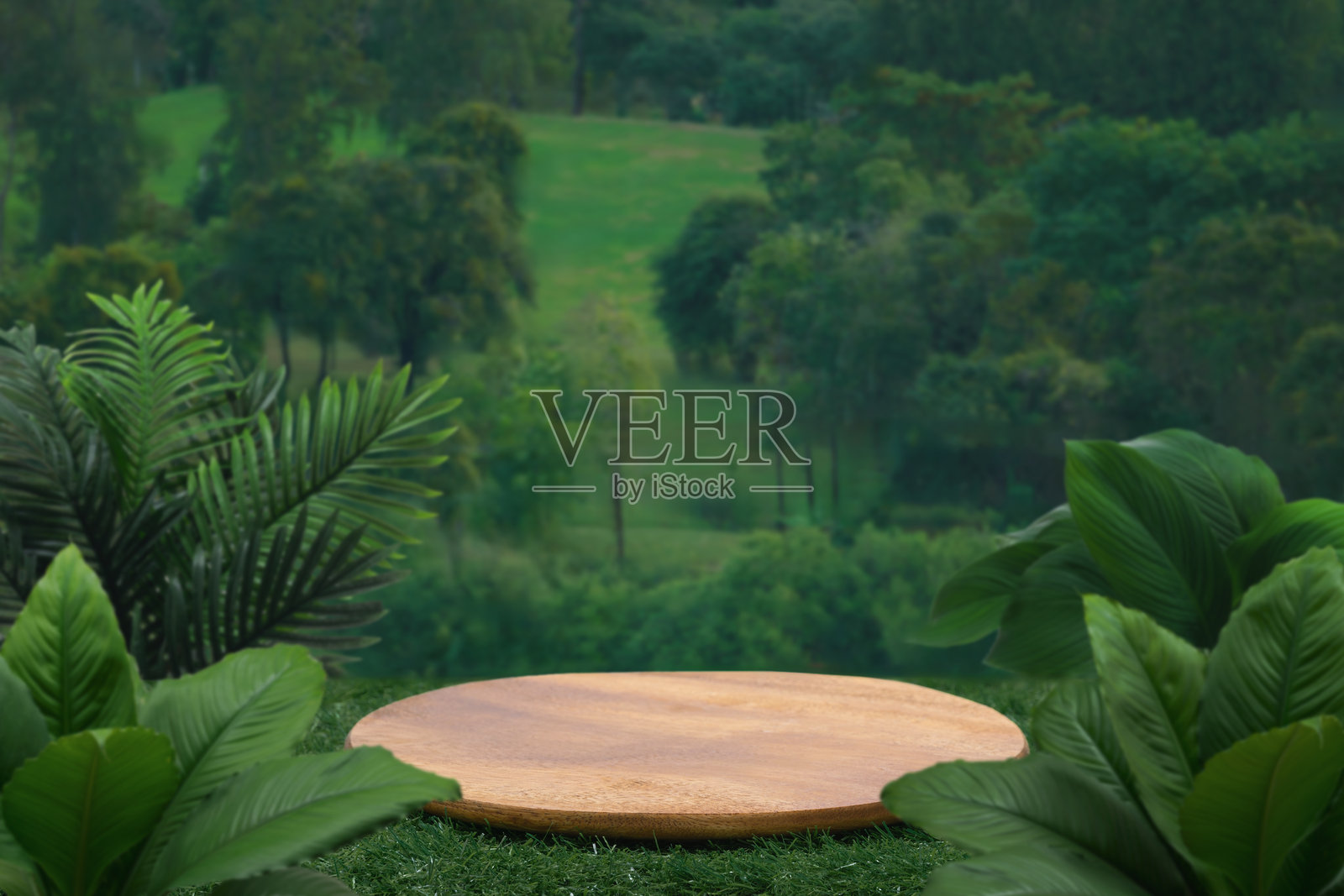 户外公园花园森林自然背景中的木质讲台桌面。自然产品底座，现代木制展示架，健康生活或生态概念。照片摄影图片