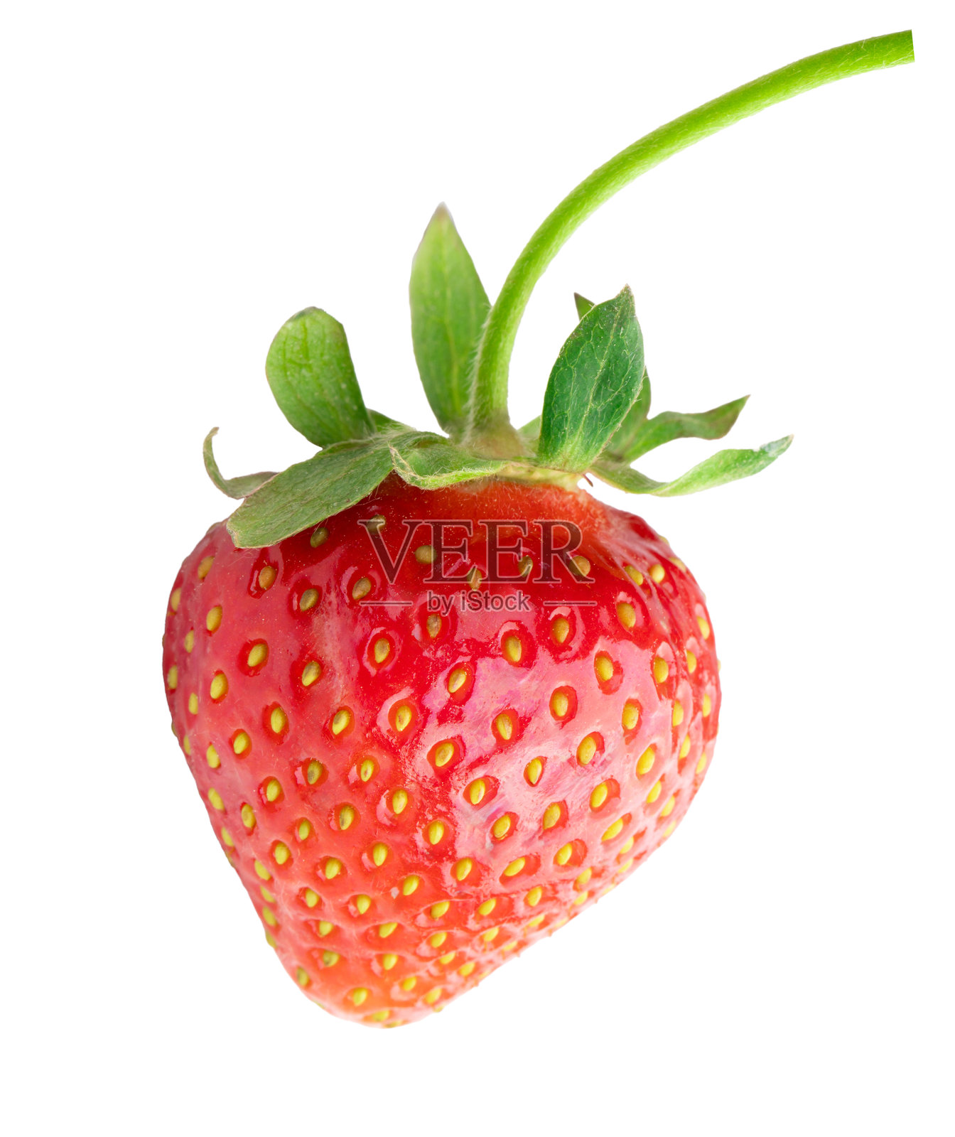 新鲜草莓孤立在白色背景上照片摄影图片