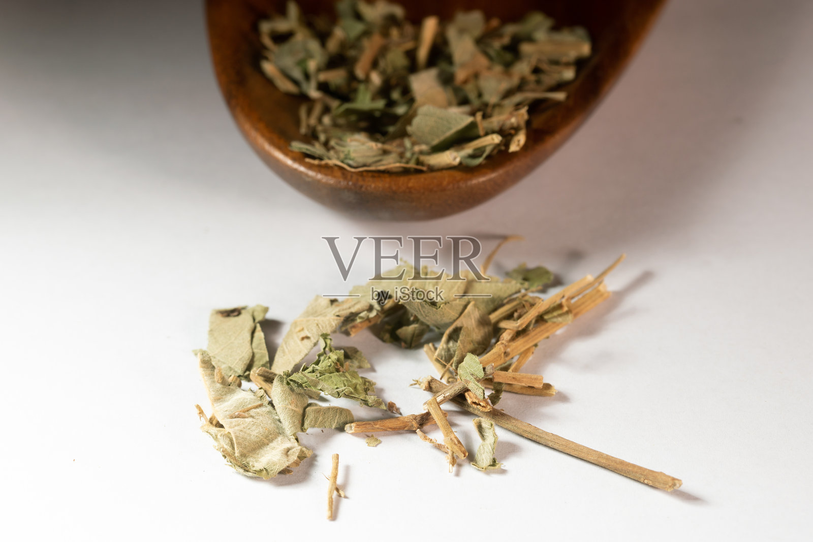 白色背景上的中药连翘草照片摄影图片