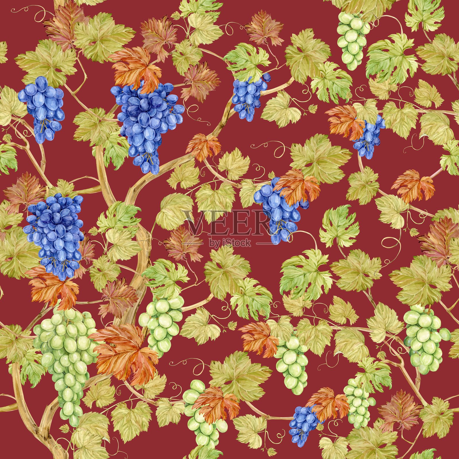 红色背景上的无缝葡萄藤背景。水彩蓝色和绿色的秋季葡萄浆果及叶子。纺织设计插图。插画图片素材