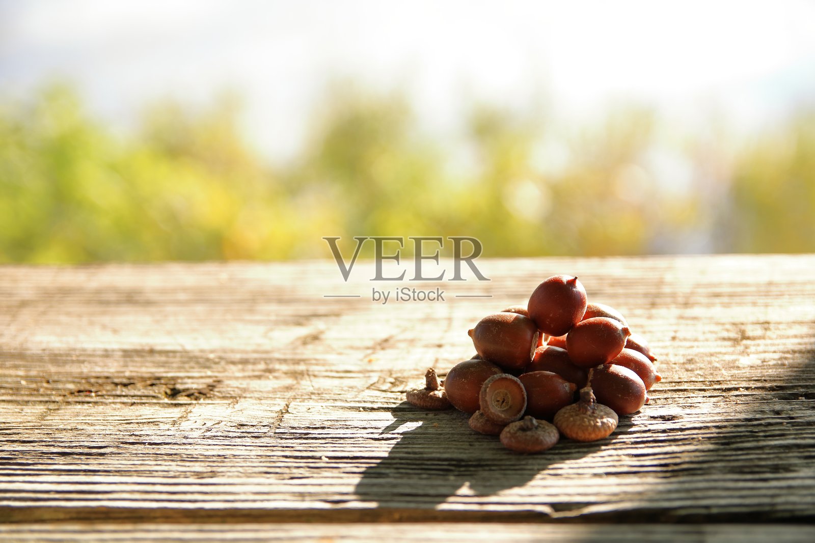 野餐桌上的橡果投下长长的秋天阴影照片摄影图片