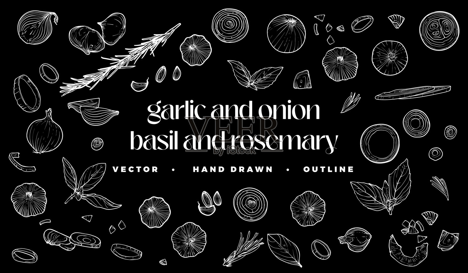 大蒜、洋葱、罗勒和迷迭香的线条艺术插画图片素材