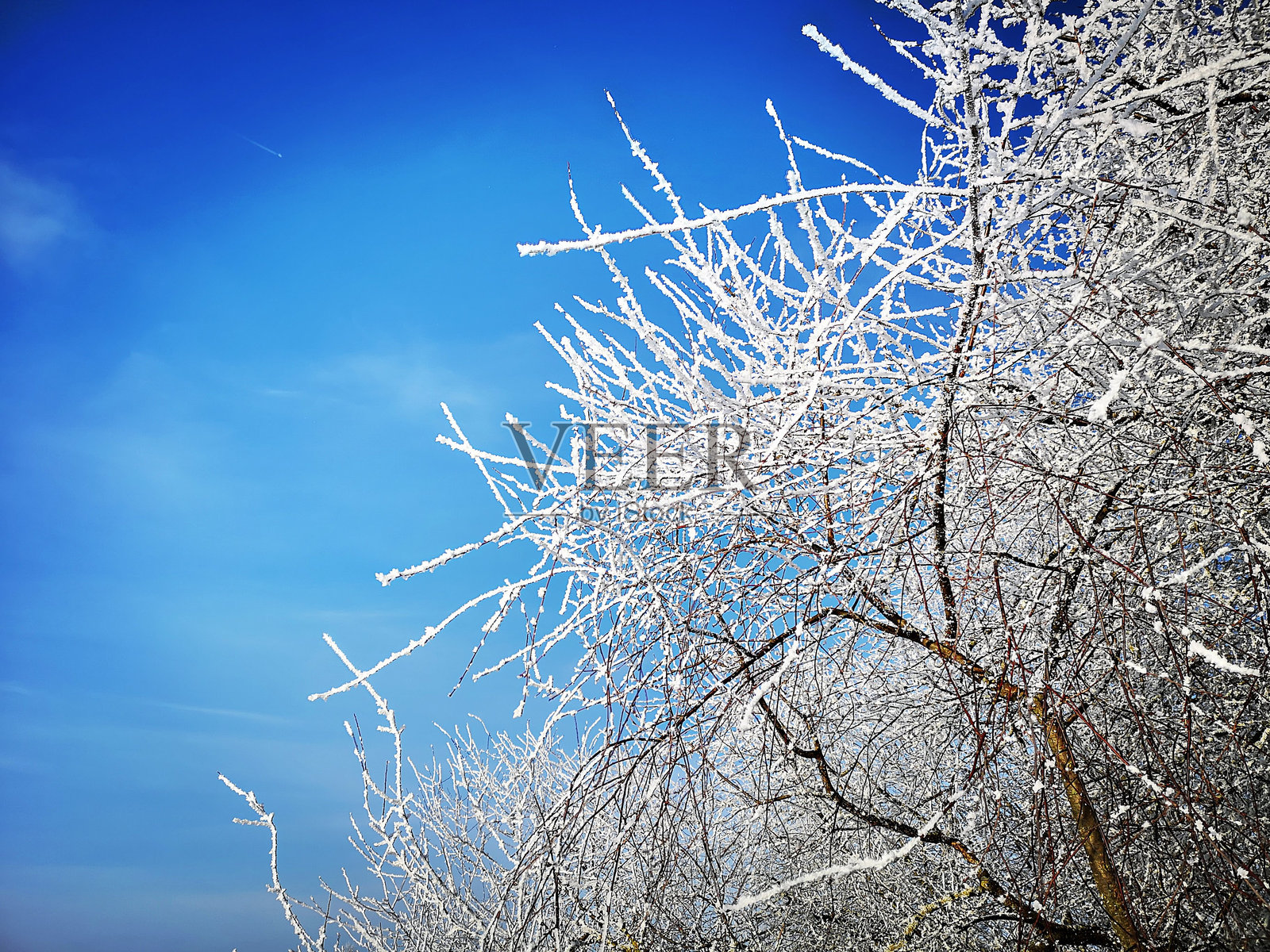 美妙的冬天照片摄影图片