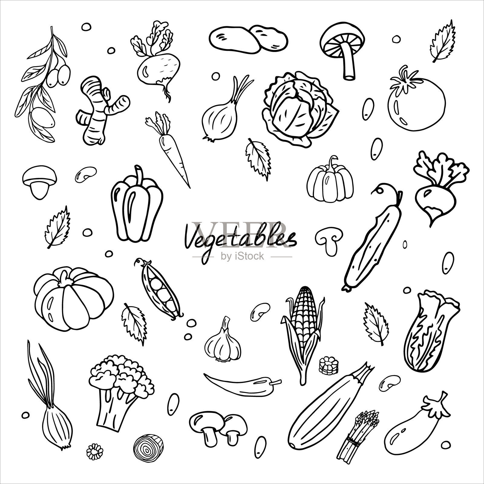 一组蔬菜。蘑菇、胡萝卜、南瓜、辣椒、黄瓜、西红柿和其他健康食品。手绘风格。插画图片素材