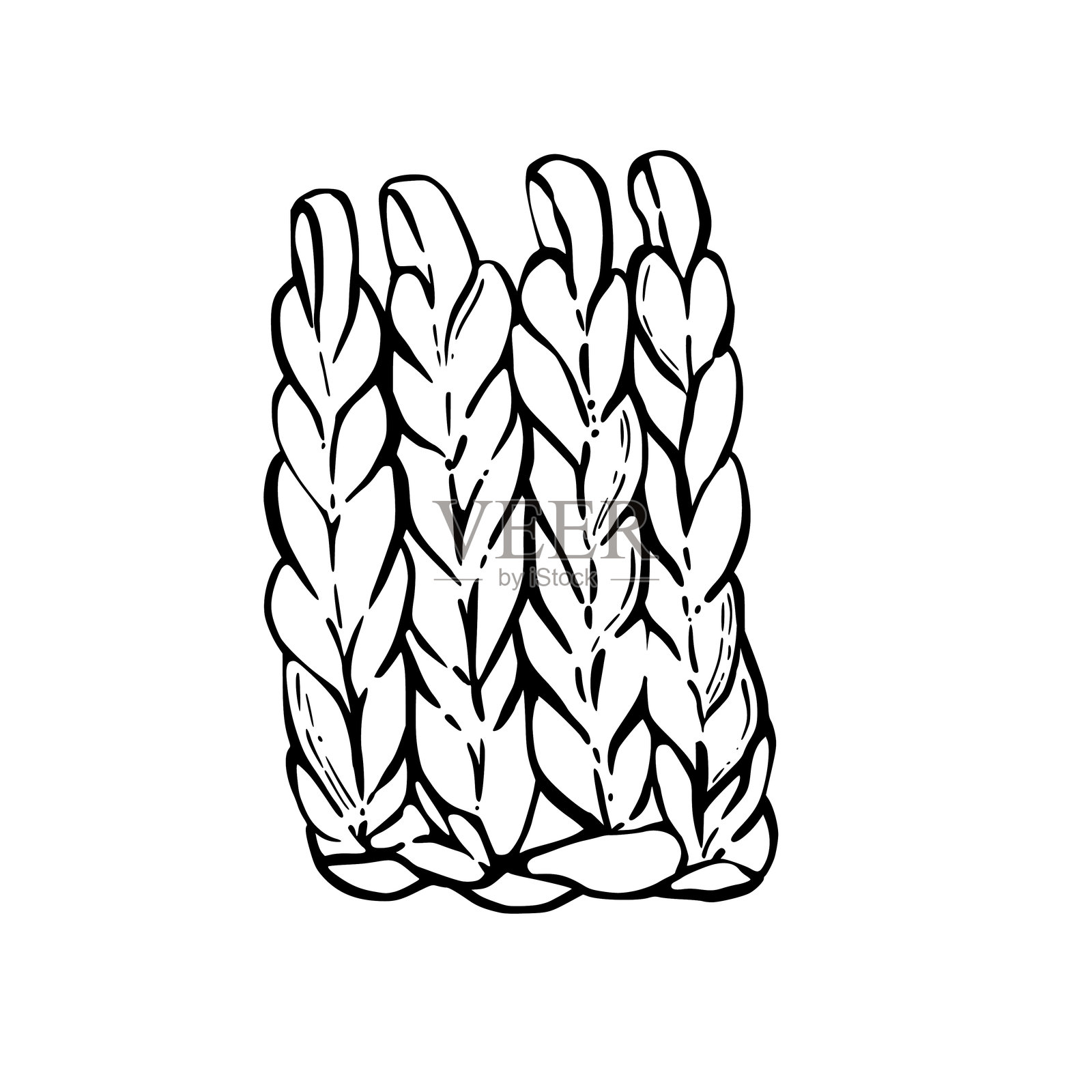 编织或钩织的爱好物品。手工编织元素。矢量手绘黑线艺术插图插画图片素材