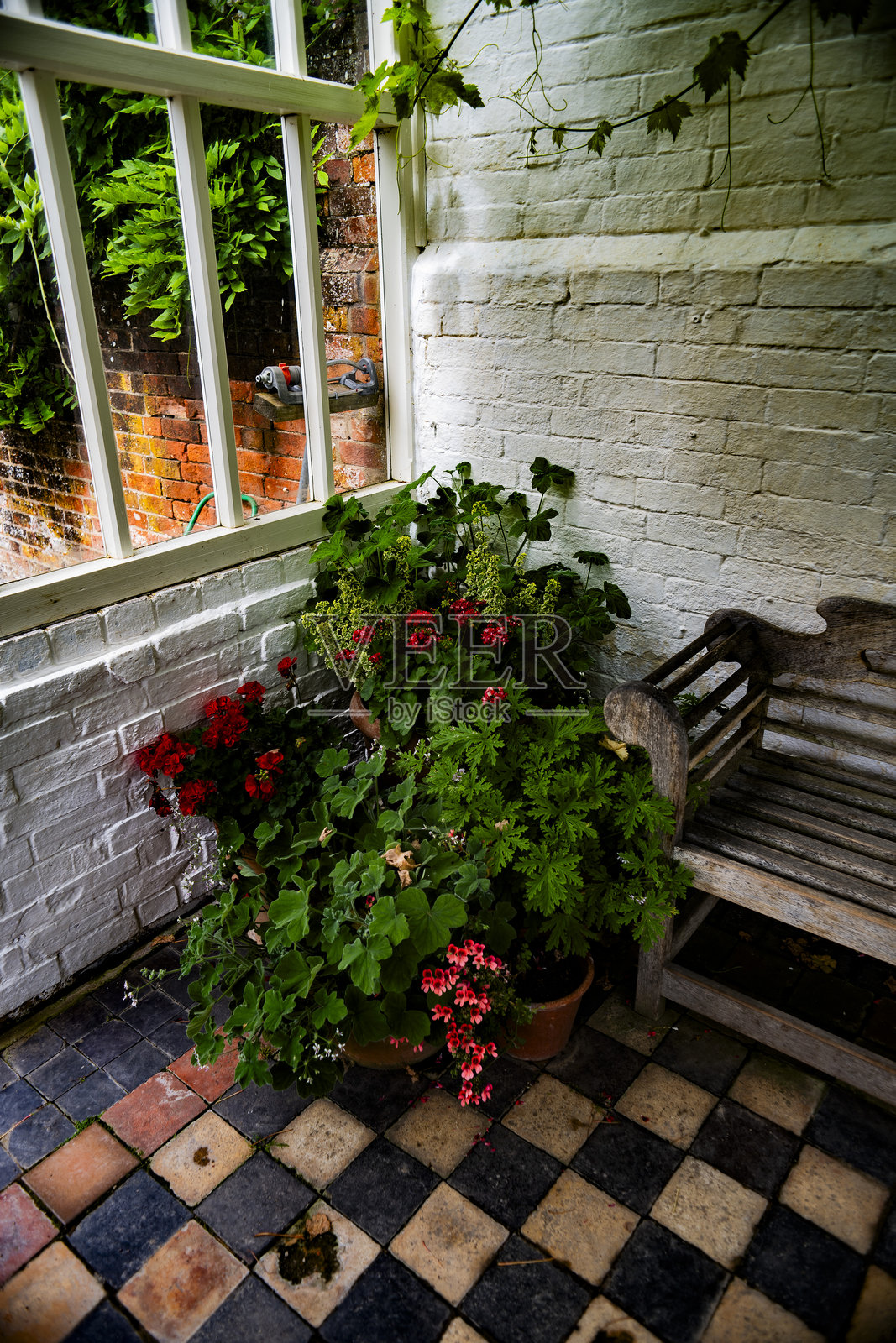 有机蔬菜花园配额，无农药或人工肥料 - 拍摄于胶卷上照片摄影图片