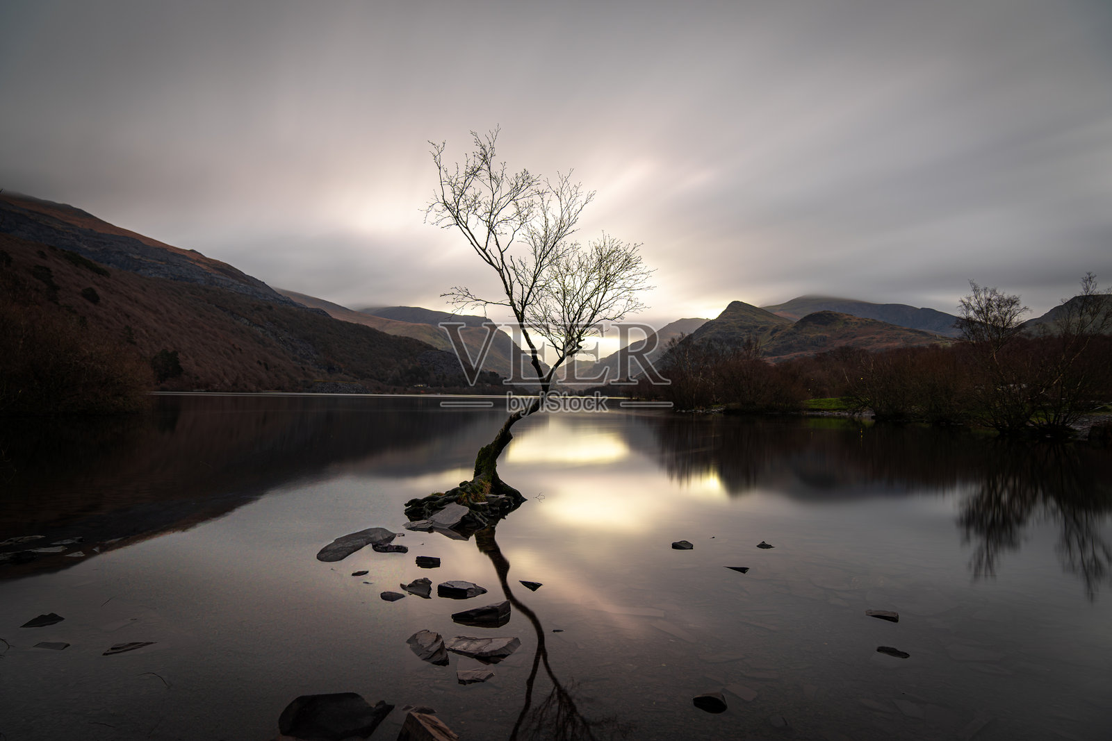 黎明时分，斯诺多尼亚的帕达恩湖中岩石上生长的孤独树木照片摄影图片