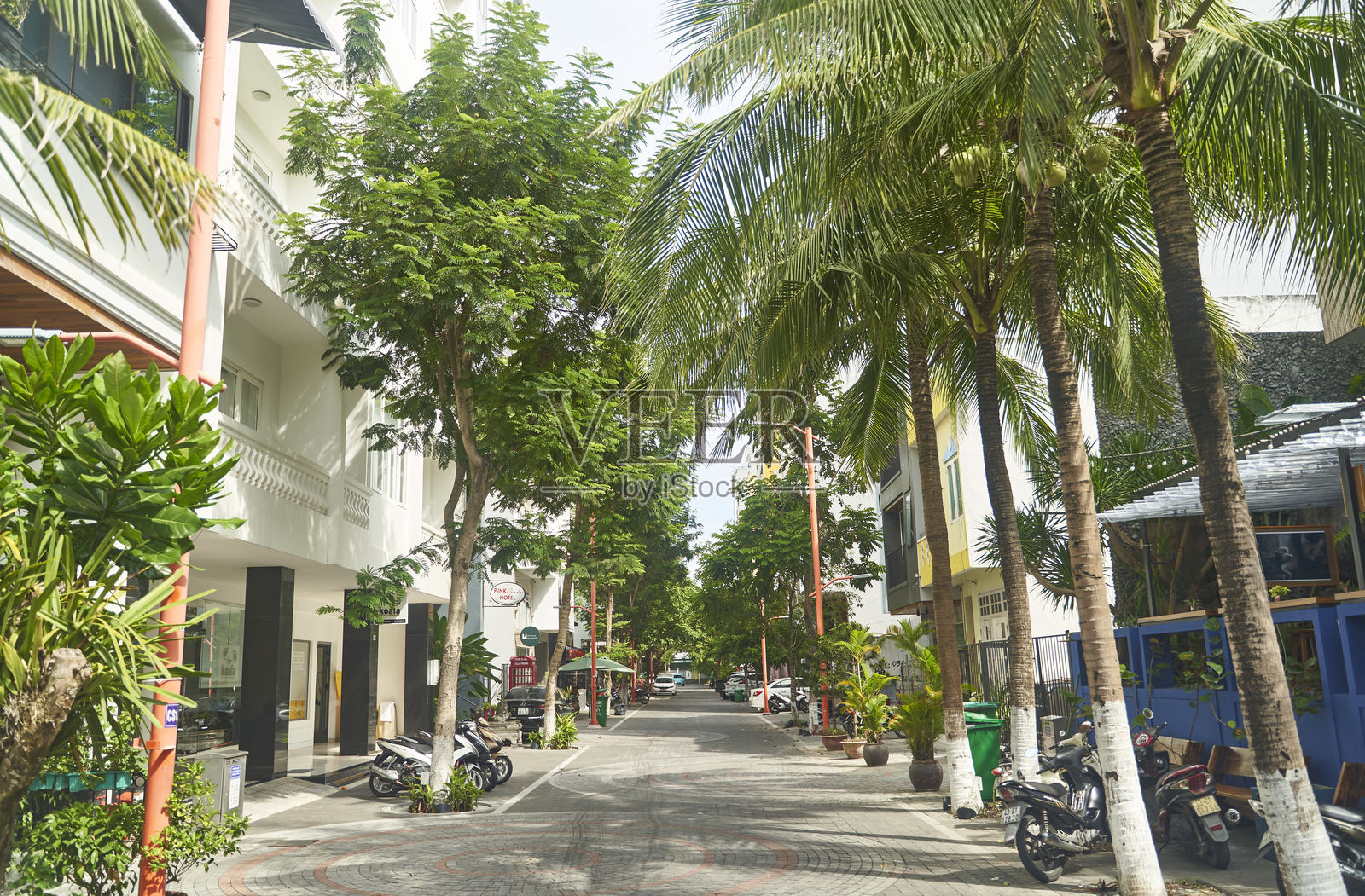 越南岘港 - 2023年6月27日：绿意盎然的街道，棕榈树与现代建筑交相辉映，营造出宁静的城市避风港照片摄影图片