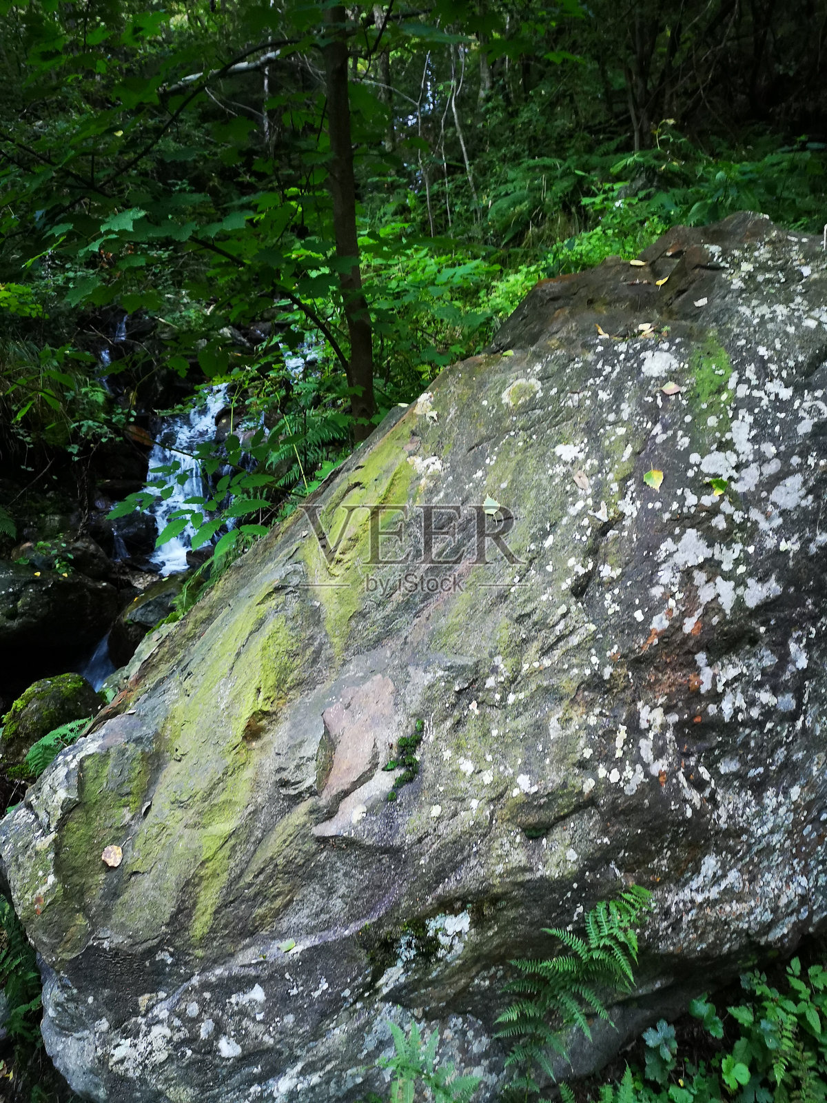 皮埃蒙特安特罗纳谷的森林中的大石头照片摄影图片