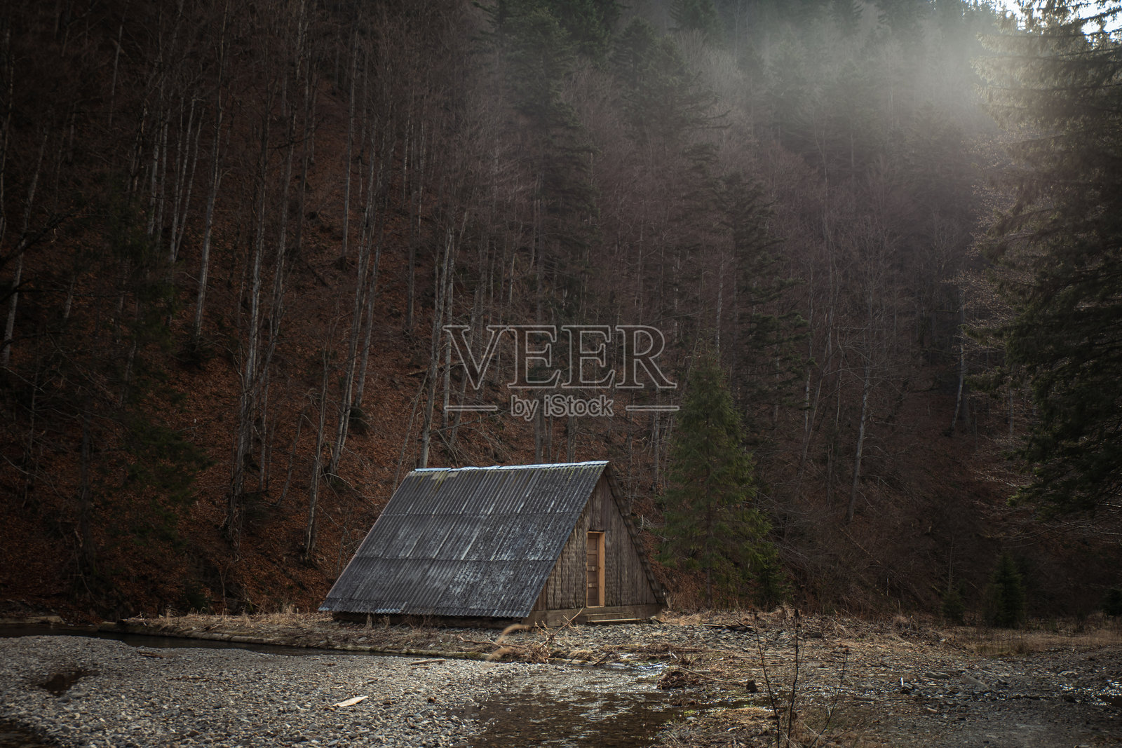 宁静的河边小木屋，坐落在雾气弥漫的森林中，清晨的光线洒落。春天的戈尔甘山脉，乌克兰喀尔巴阡山。照片摄影图片
