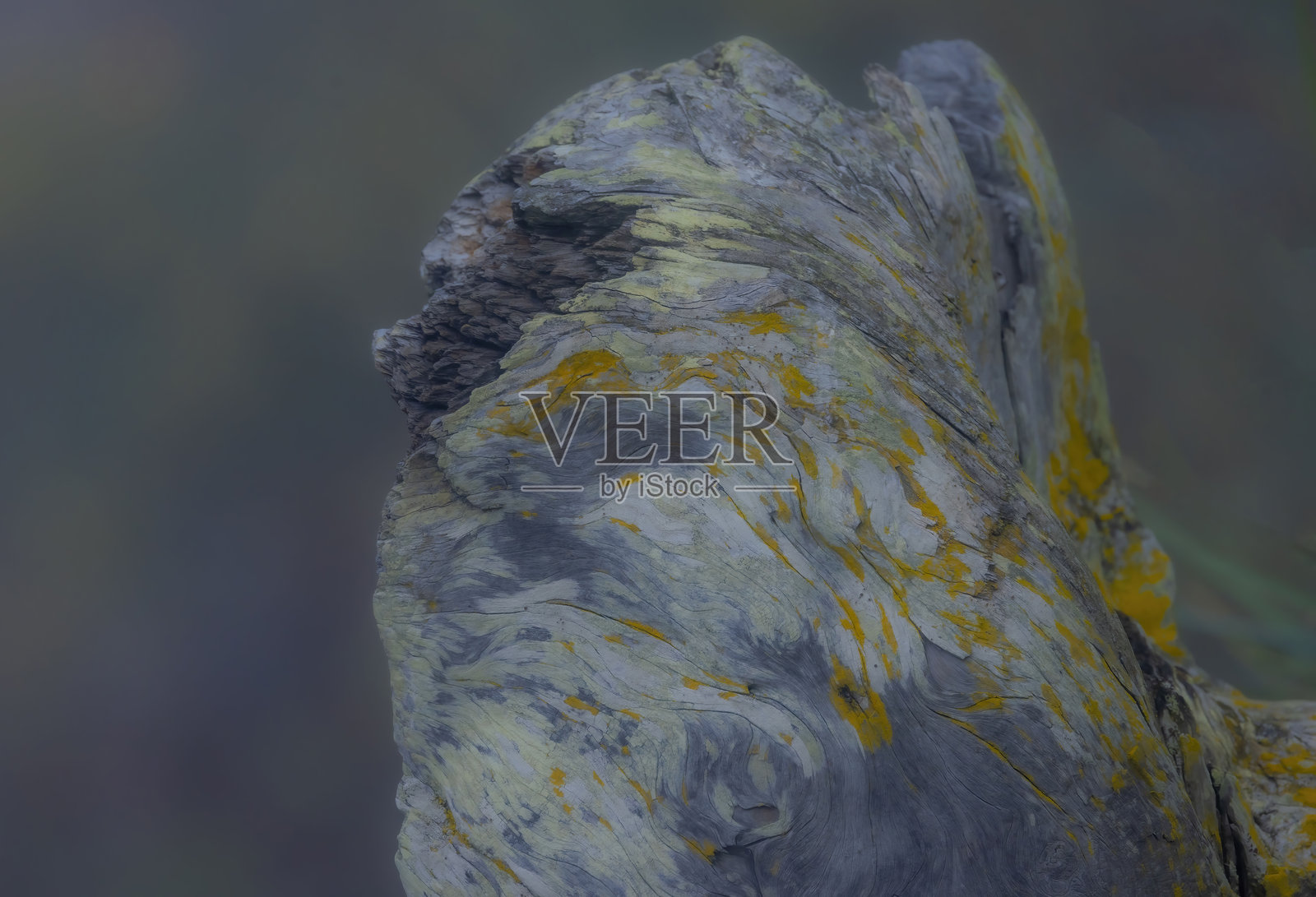 抽象的木头作品照片摄影图片